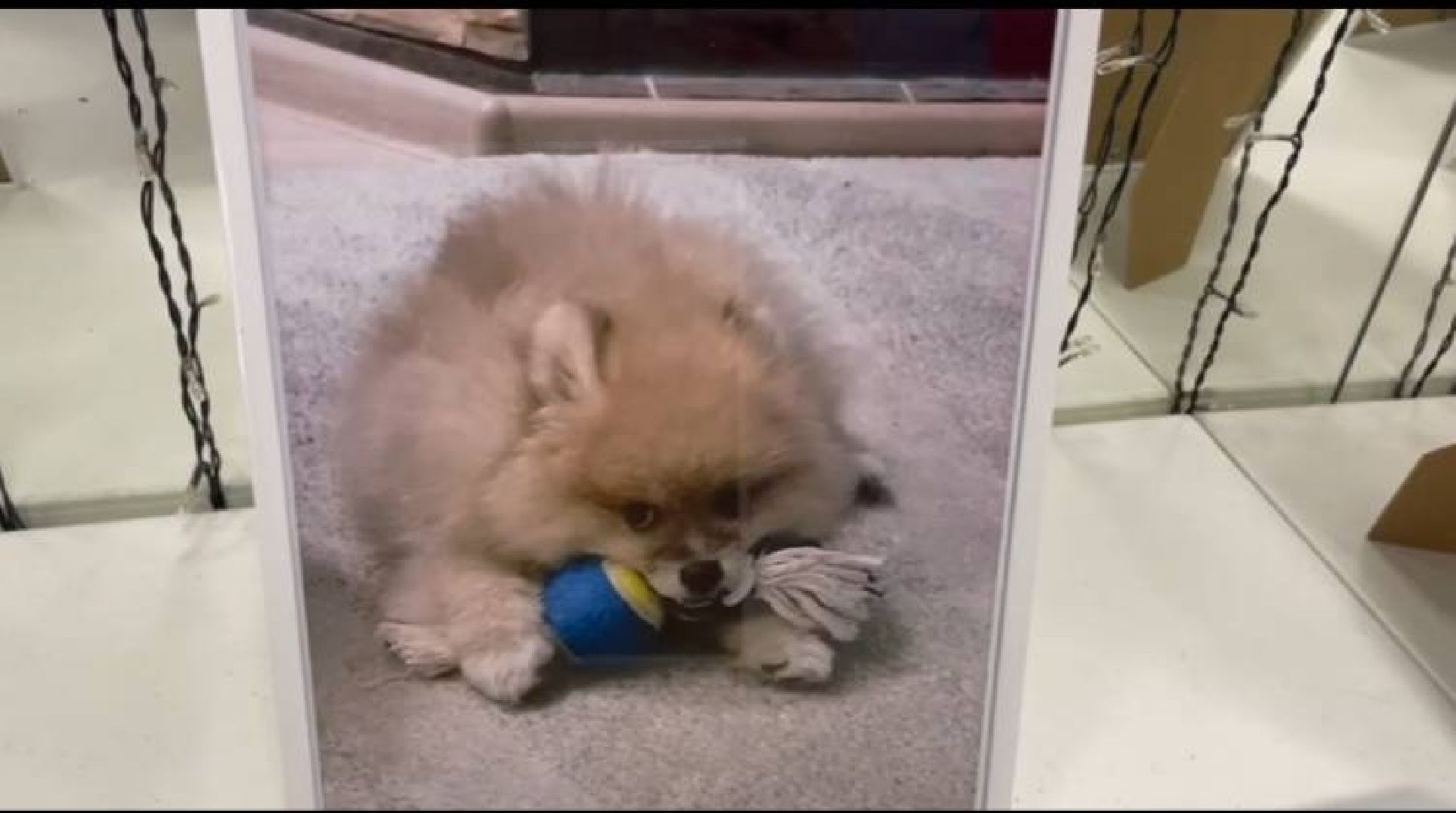 Коломна, культура, общество