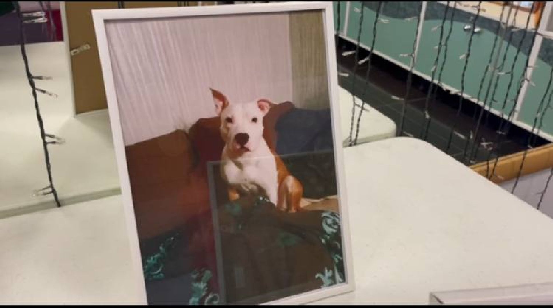 Коломна, культура, общество