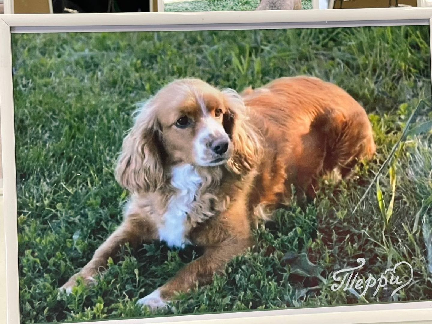 Коломна, культура, общество