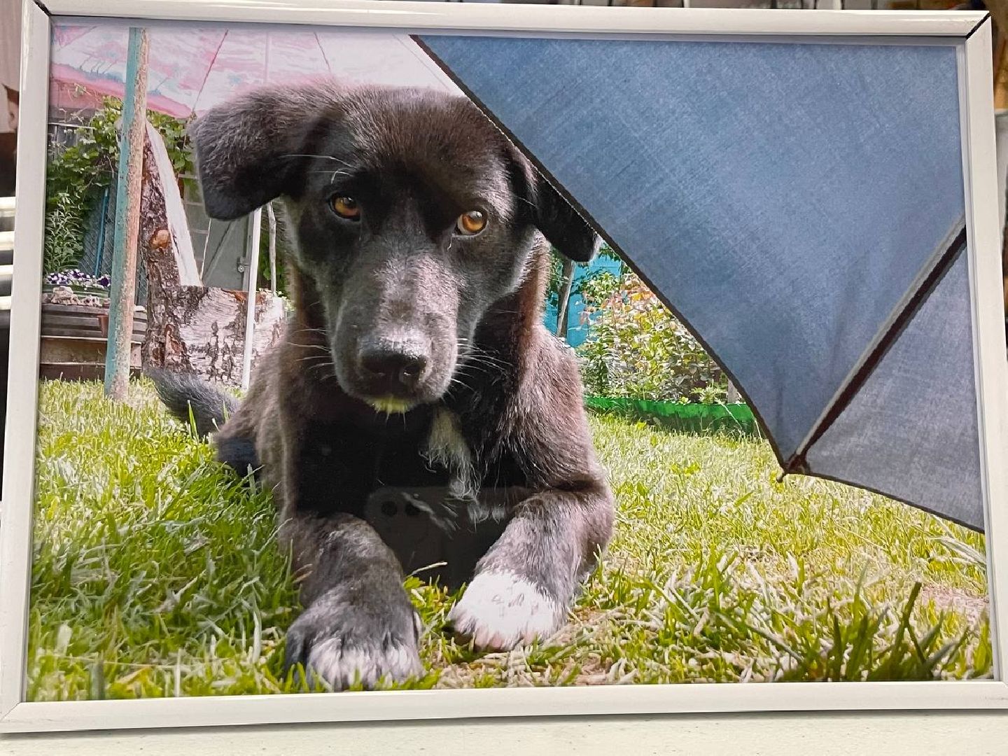 Коломна, культура, общество