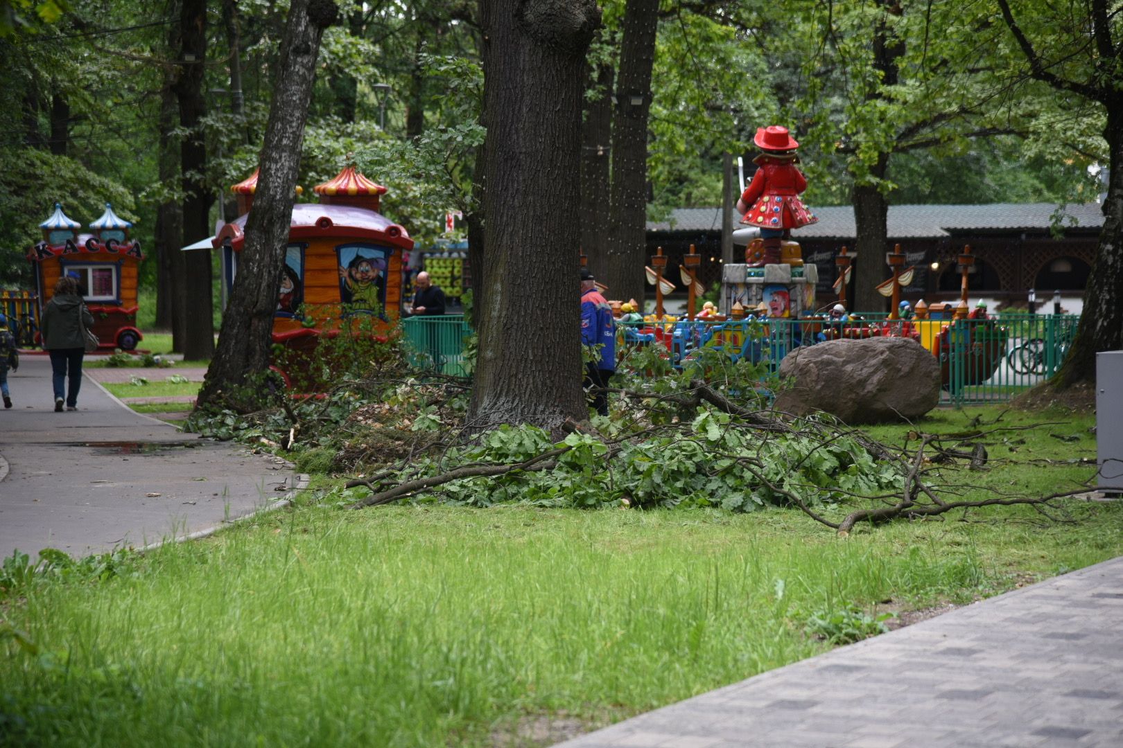 Химки, парк, деревья, опиловка, благоустройство