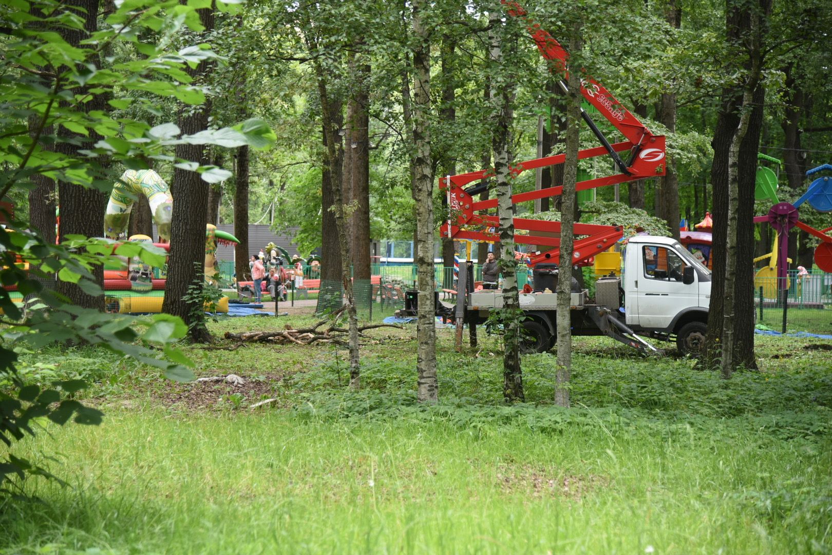 Химки, парк, деревья, опиловка, благоустройство