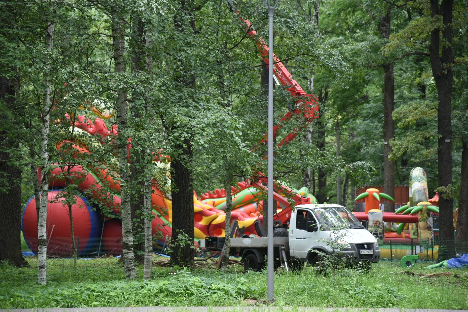 Химки, парк, деревья, опиловка, благоустройство