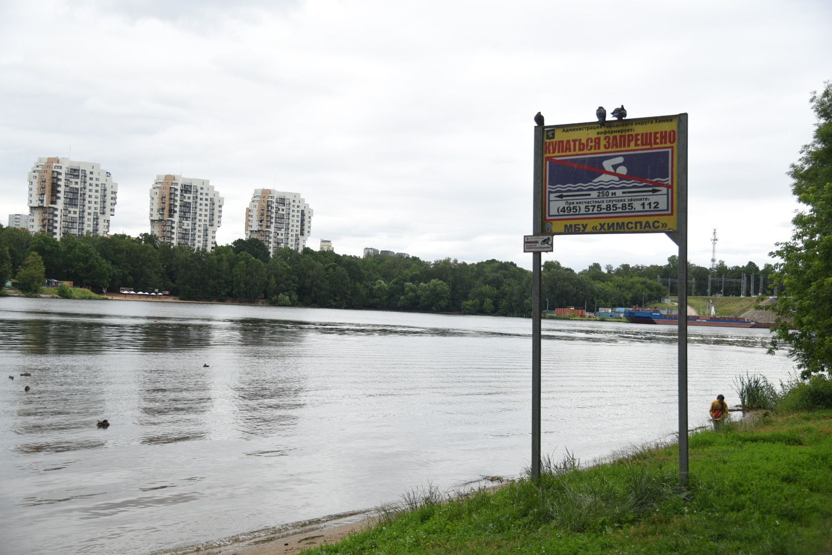 Химки, вода, плаванье, безопасность