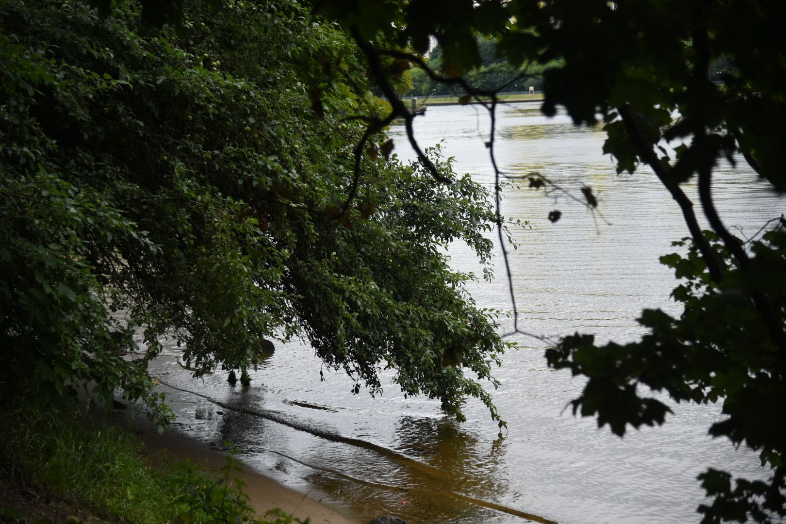 Химки, вода, плаванье, безопасность