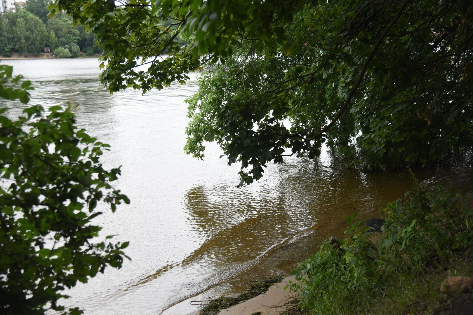 Химки, вода, плаванье, безопасность