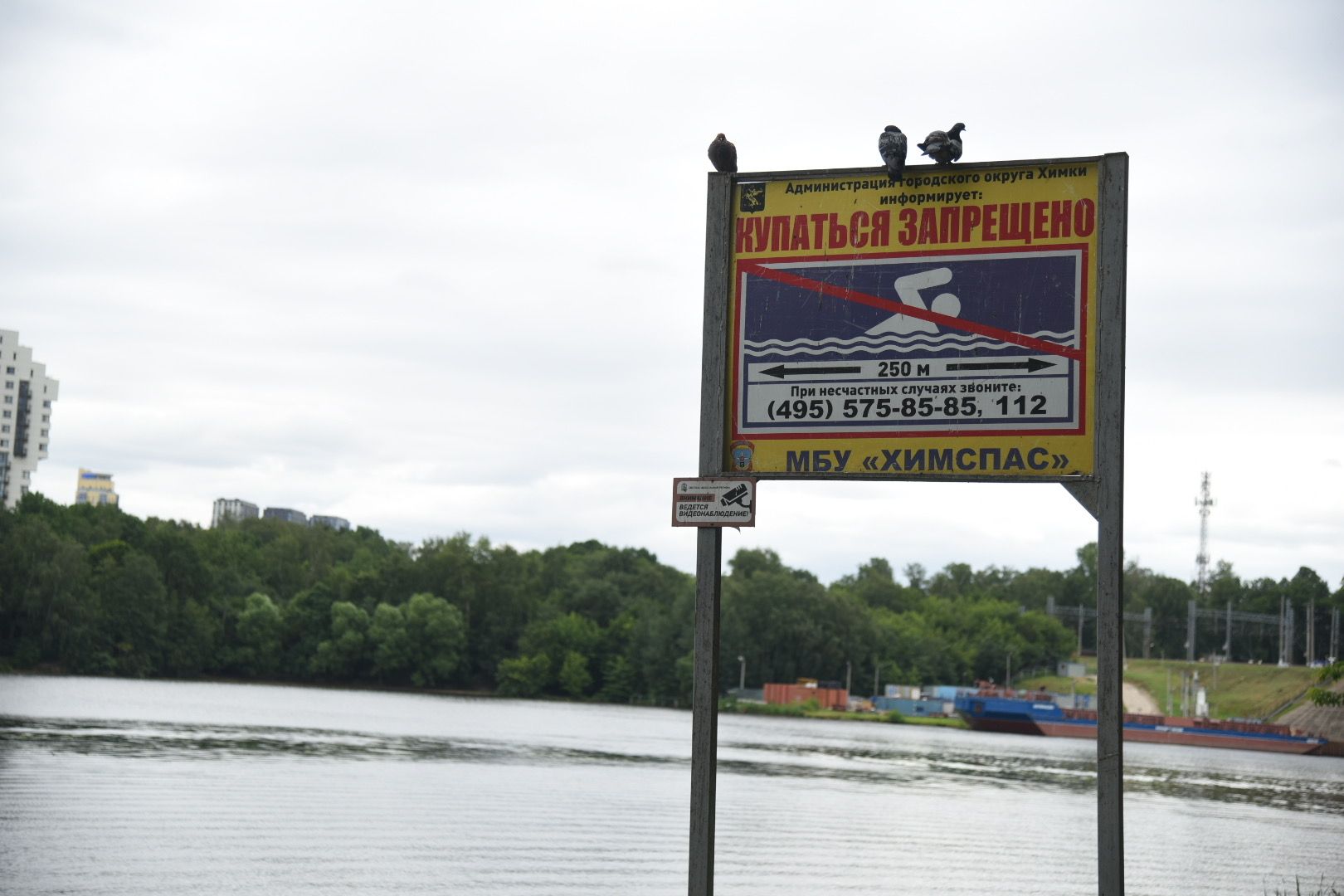 Химки, вода, плаванье, безопасность