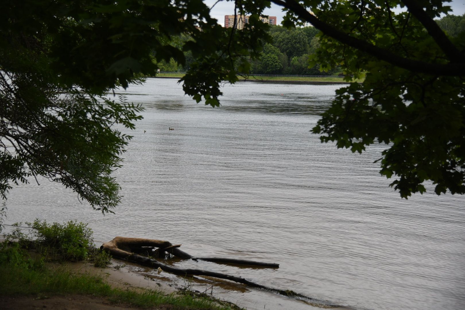 Химки, вода, плаванье, безопасность