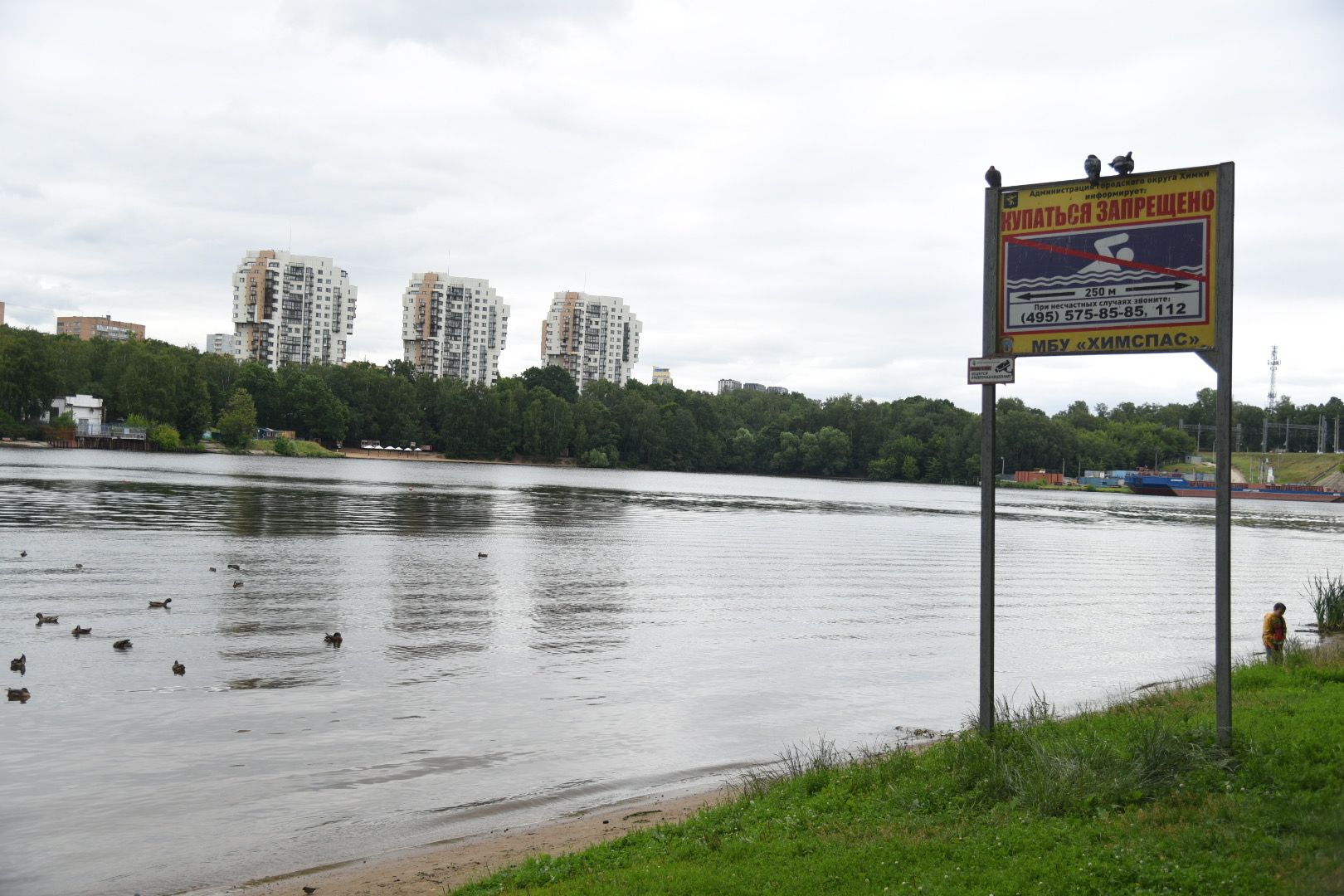 Химки, вода, плаванье, безопасность