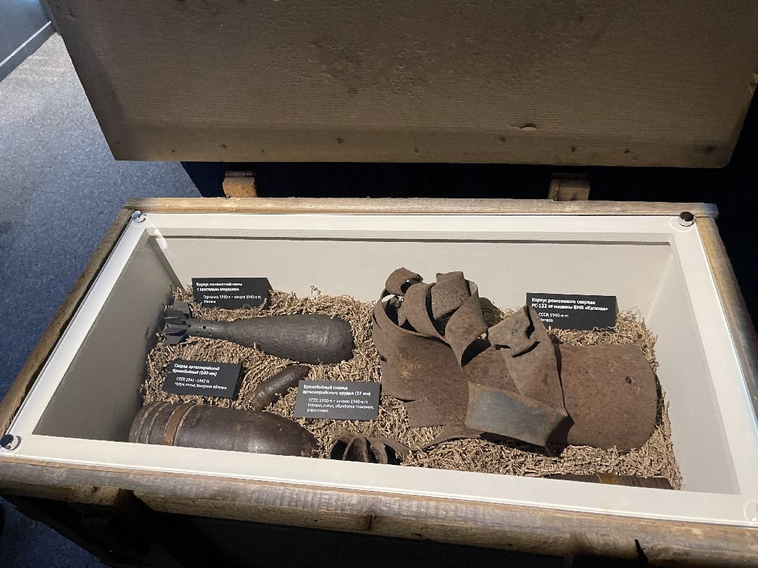 музей, манеж, культура, Звенигород, Птичий архив