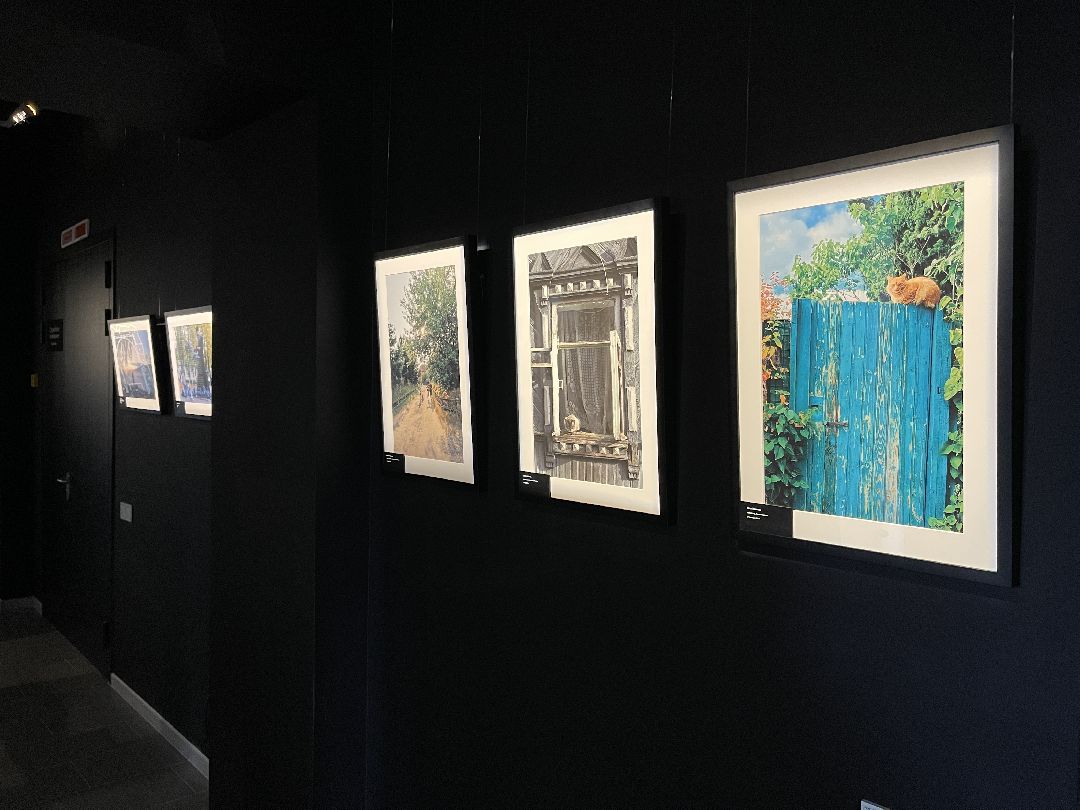 музей, манеж, культура, Звенигород, Птичий архив