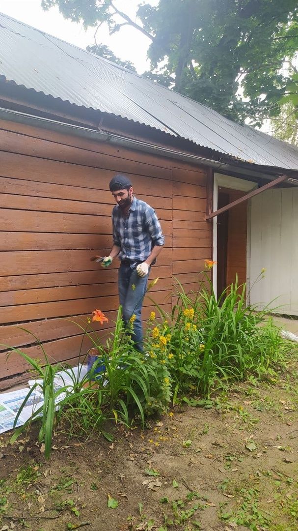 музей, культура, волонтёры,