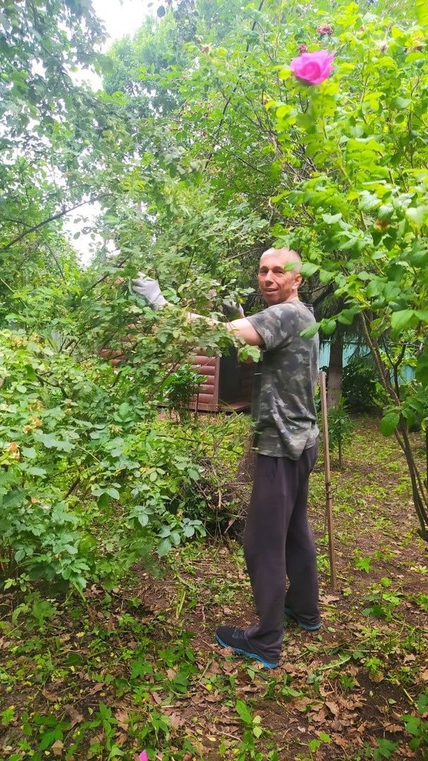 музей, культура, волонтёры,