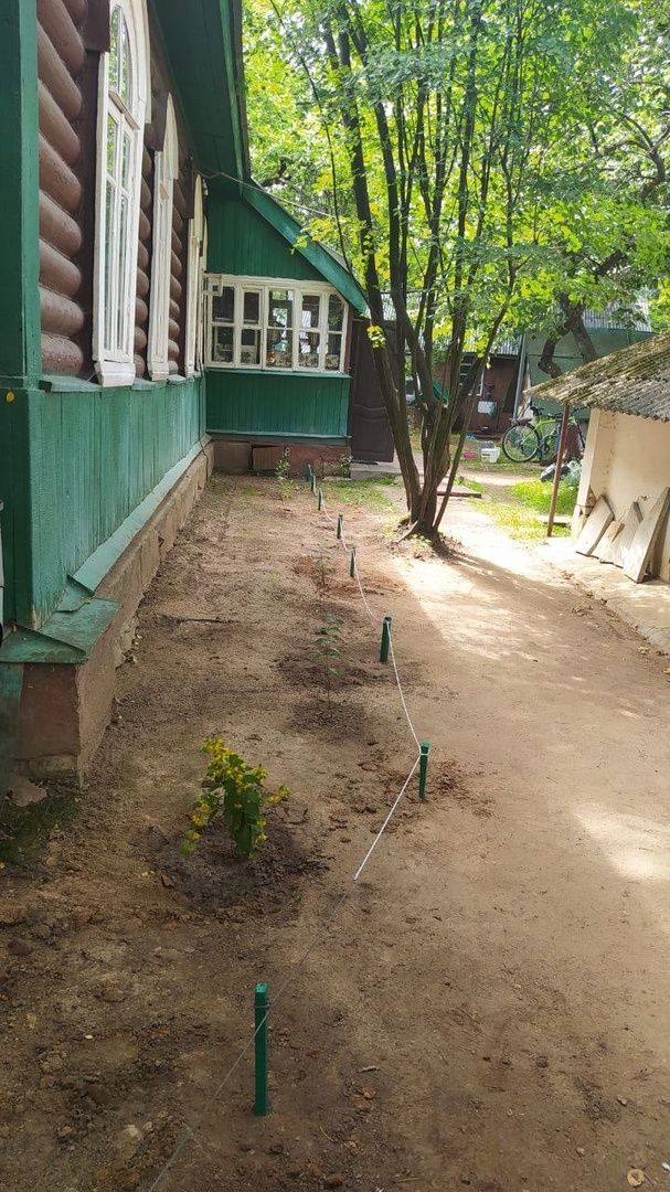 музей, культура, волонтёры,