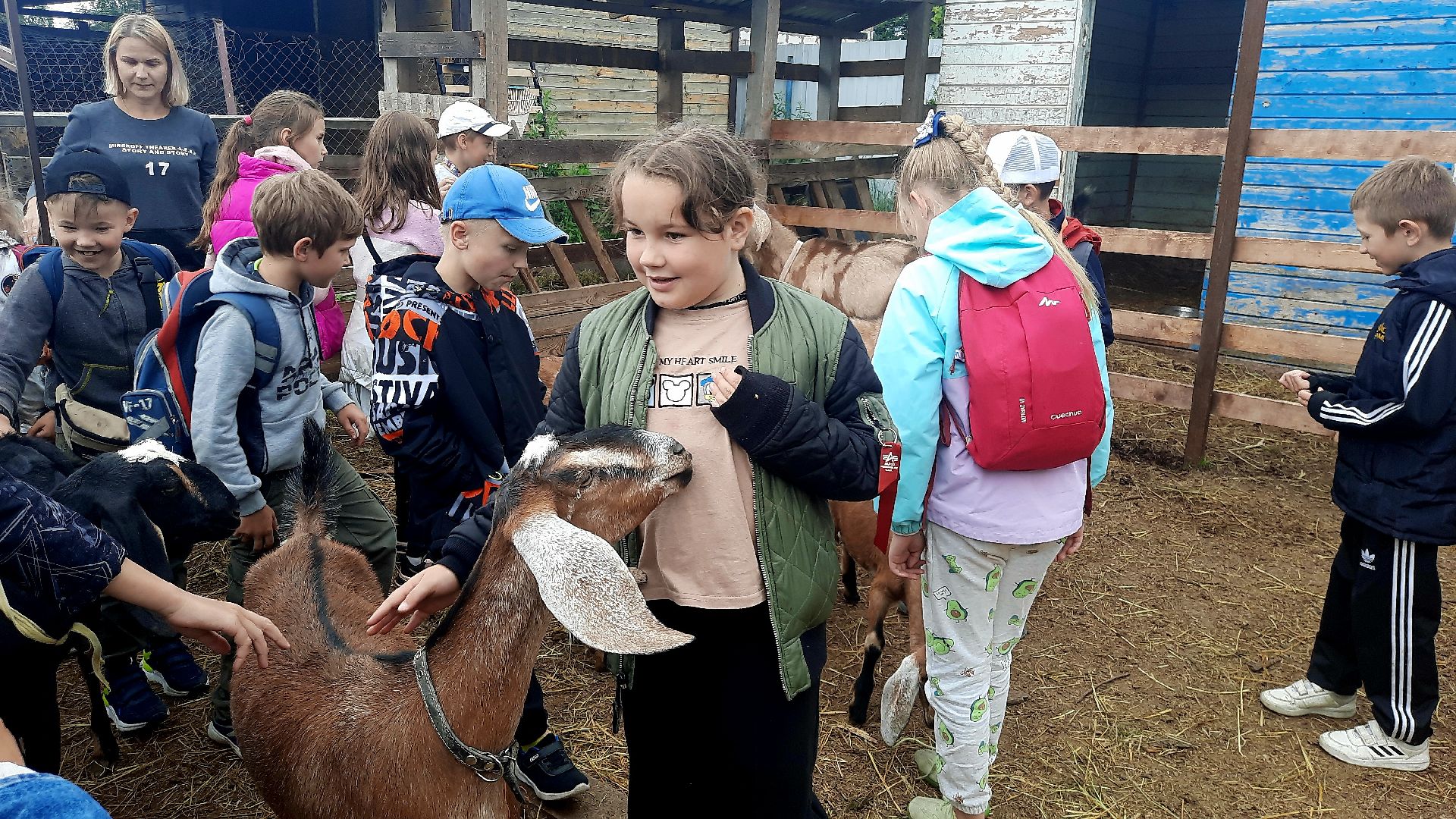 Шатура, профессия мечты, сыроварня, фермеры, подсобное хозяйство, Профессия мечты