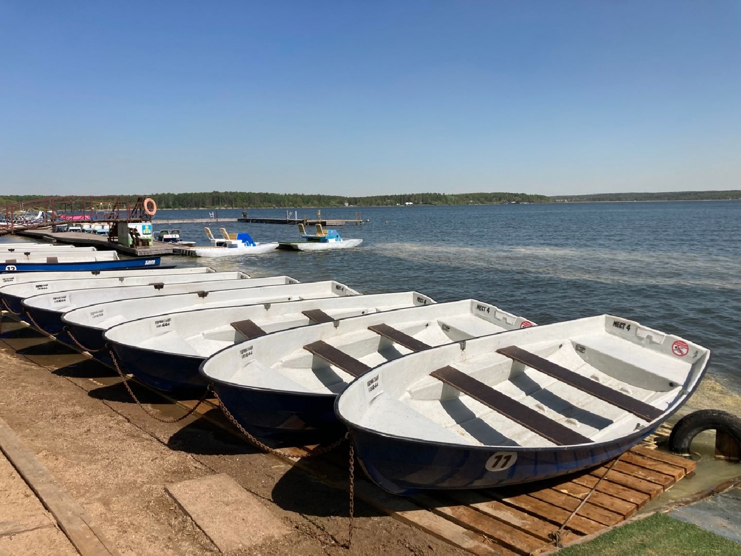 Солнечногорск, акция, ночь в парке, спорт, культура