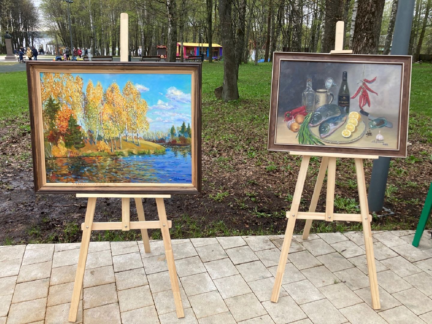 Солнечногорск, акция, ночь в парке, спорт, культура