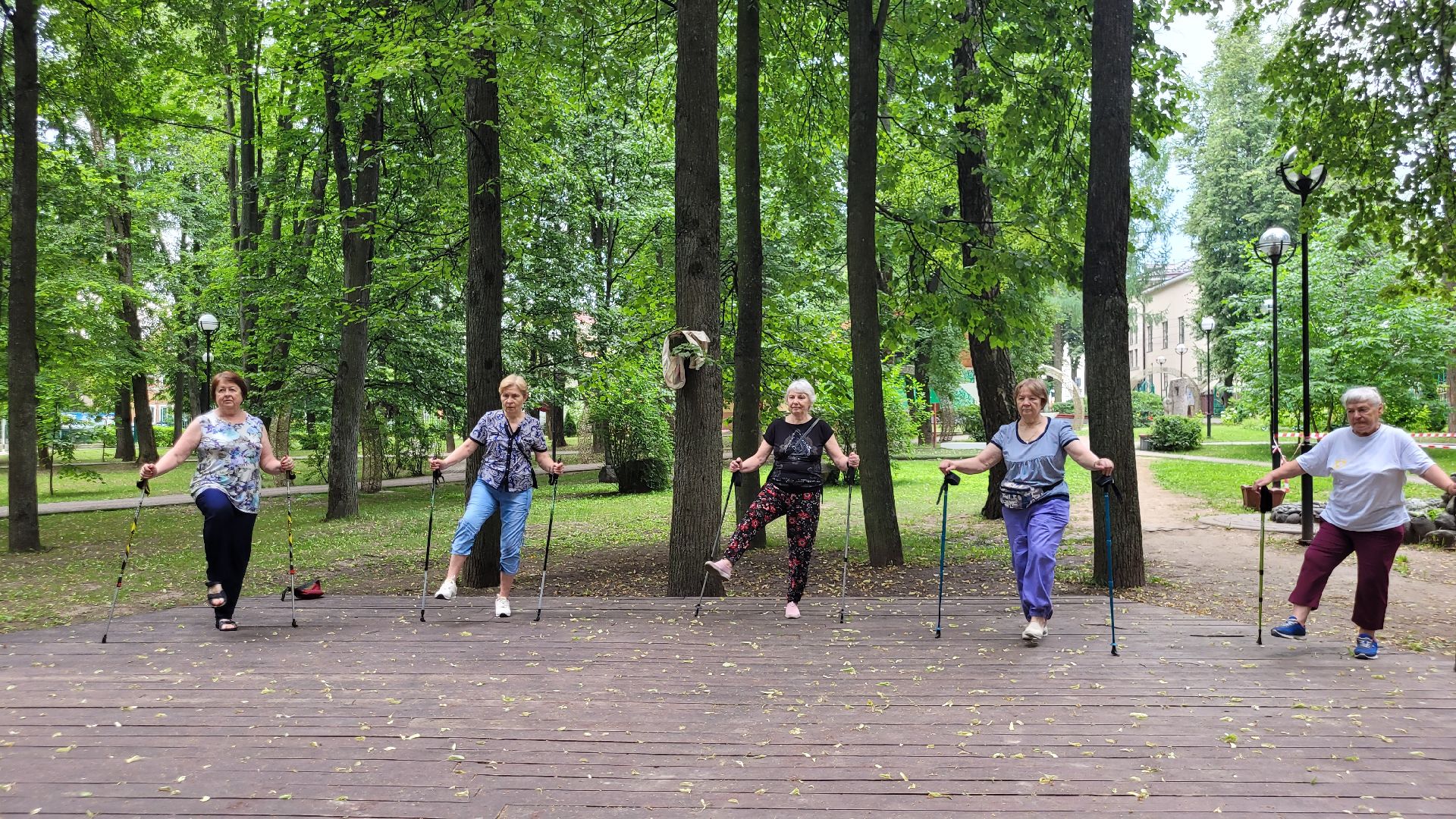 активное долголетие; скандинавская ходьба; здоровье; видное