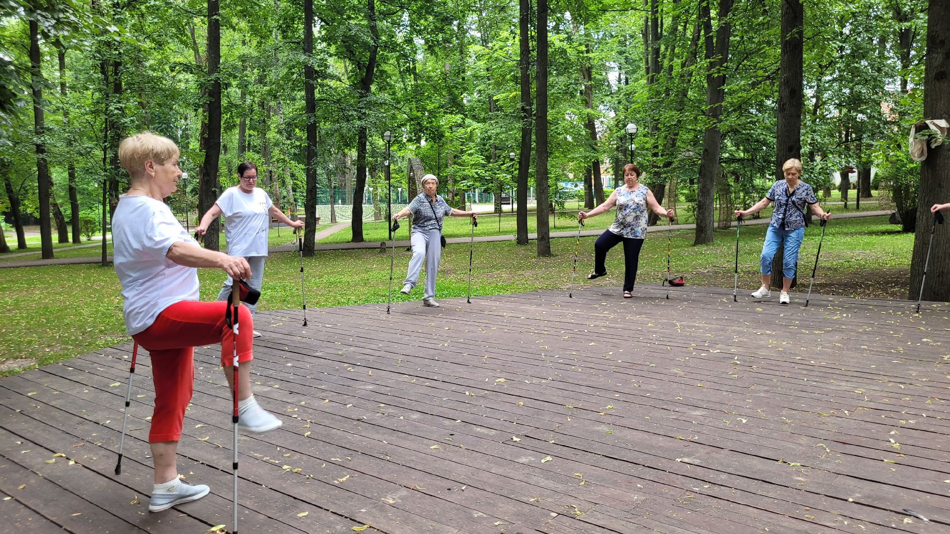 активное долголетие; скандинавская ходьба; здоровье; видное