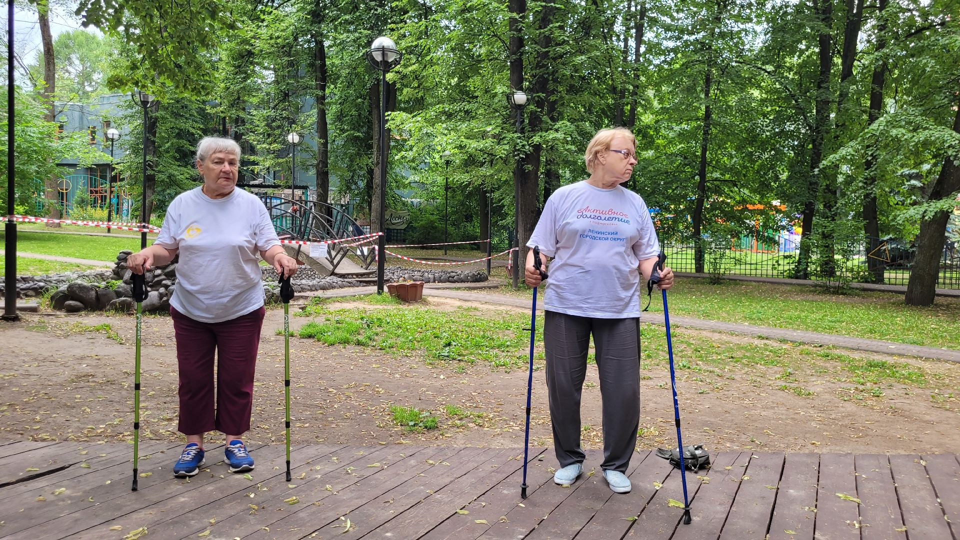 активное долголетие; скандинавская ходьба; здоровье; видное