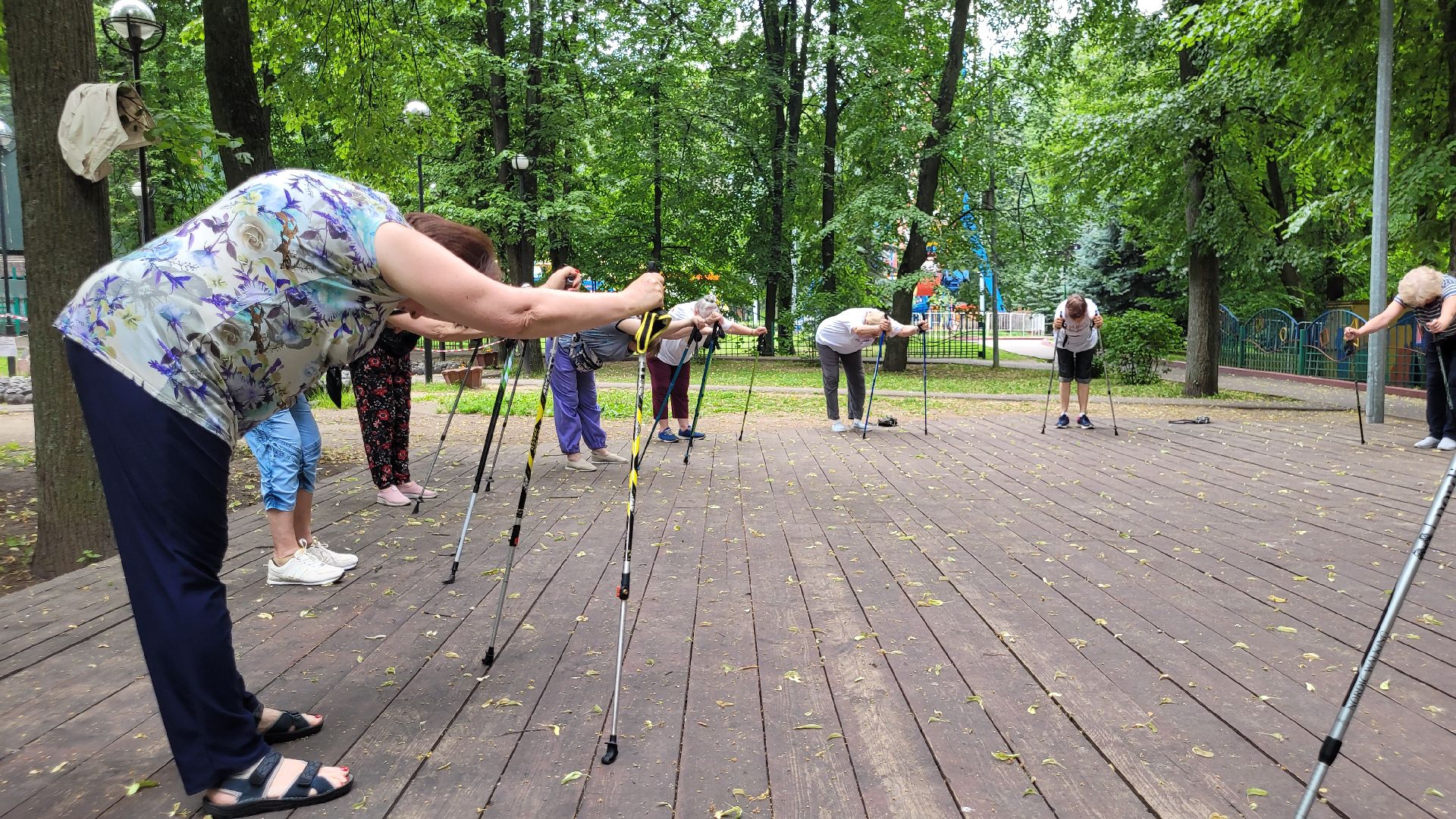 активное долголетие; скандинавская ходьба; здоровье; видное