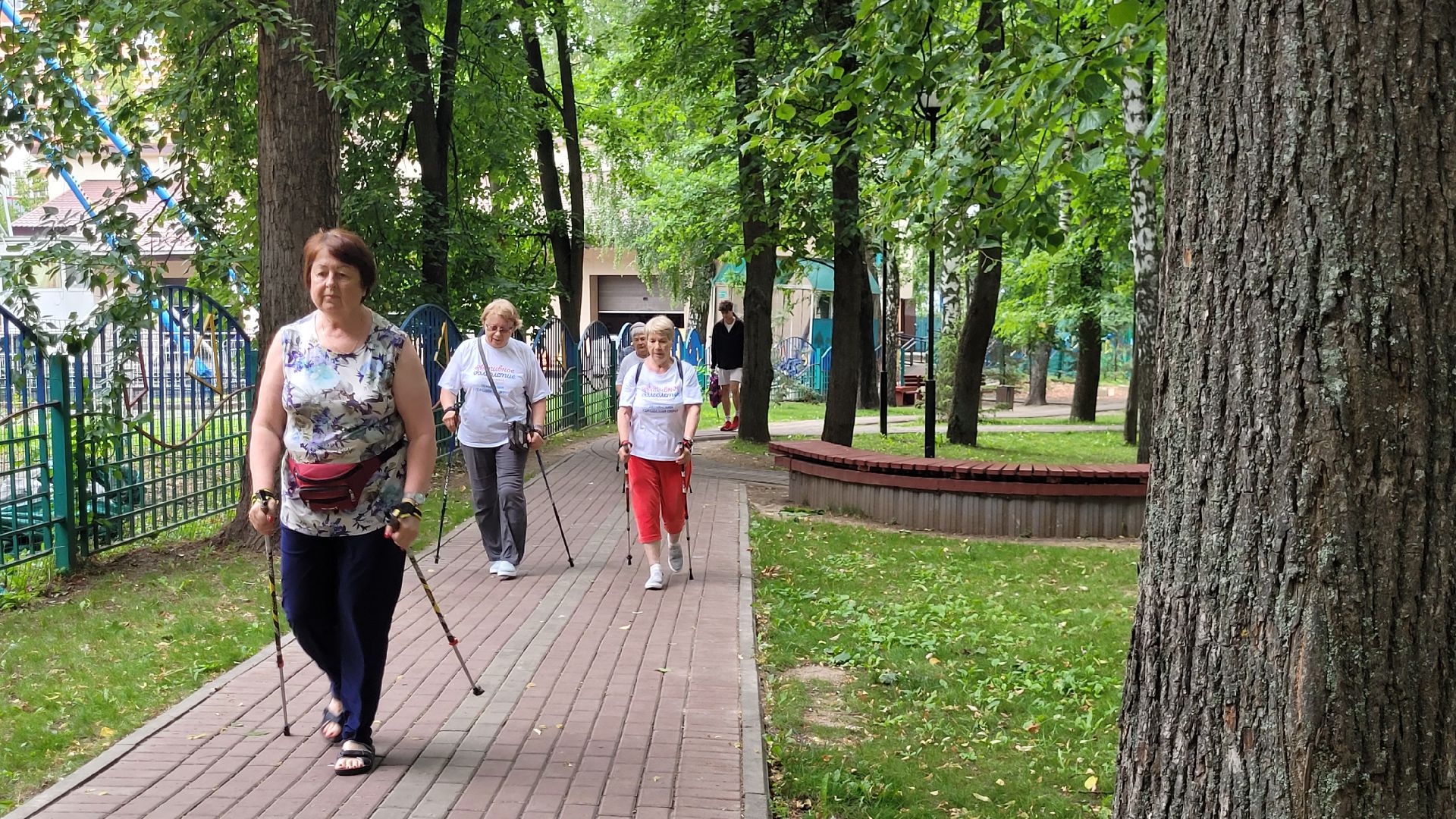 активное долголетие; скандинавская ходьба; здоровье; видное