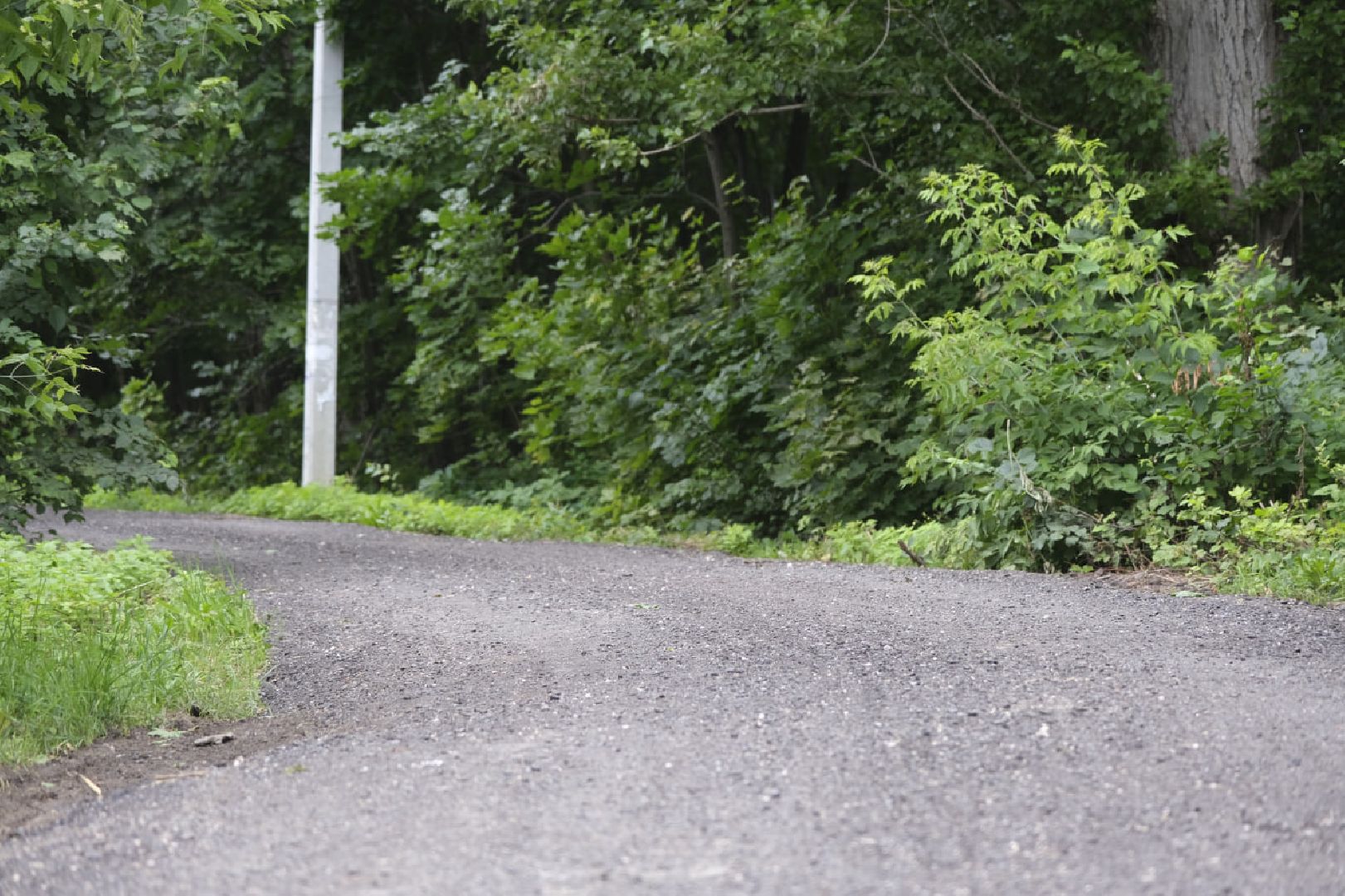 Пущино, дороги