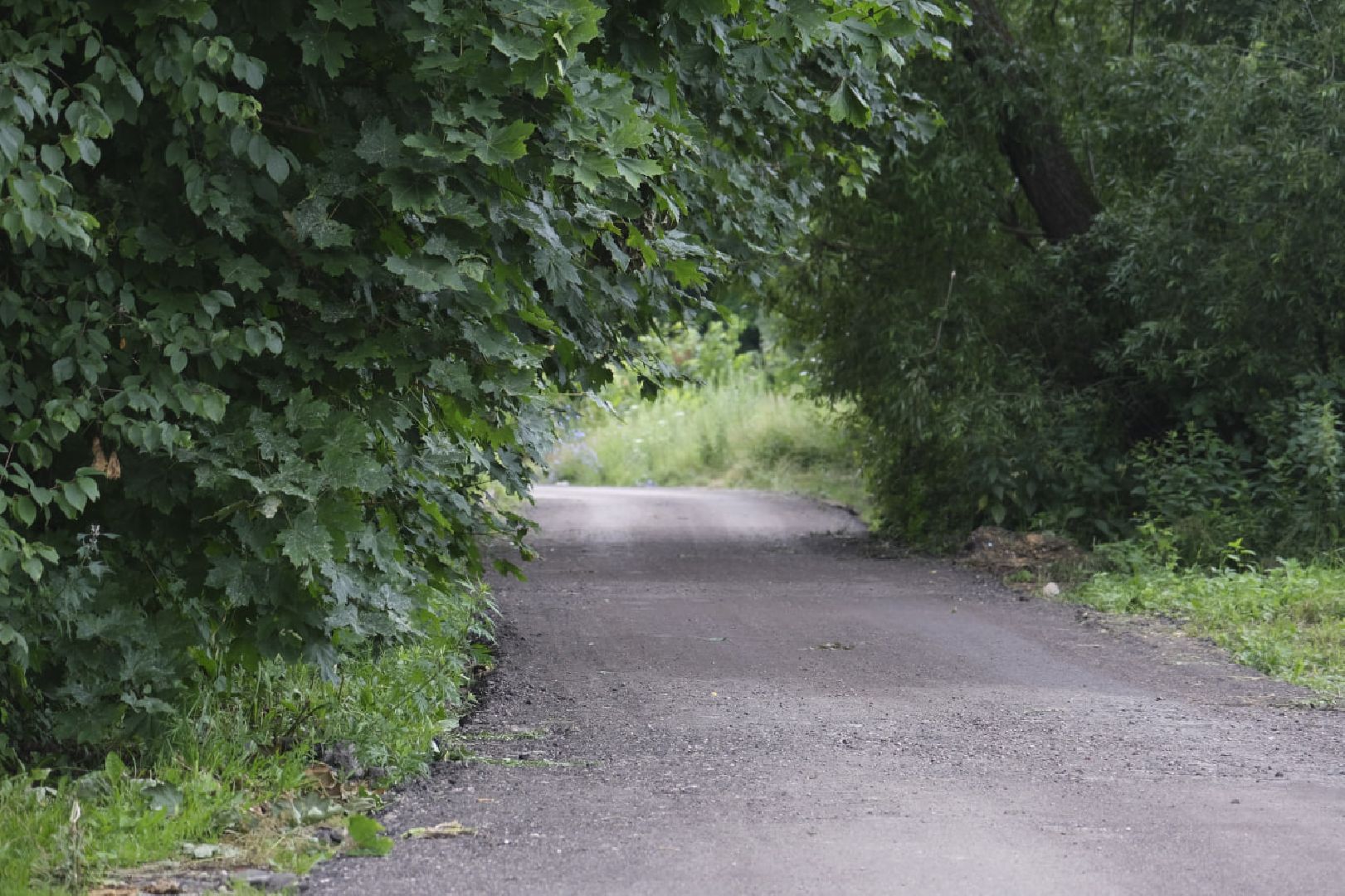 Пущино, дороги