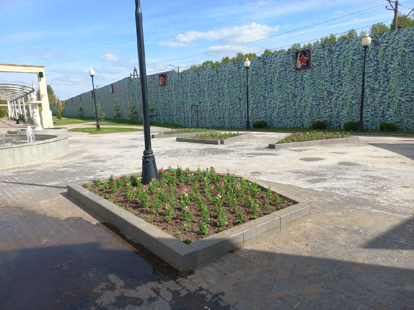 Шаховская, цветы, клумбы, посадка