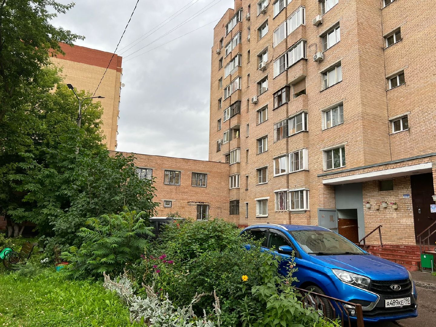 Реутов, благоустройство, ЖКХ, деревья, ивы