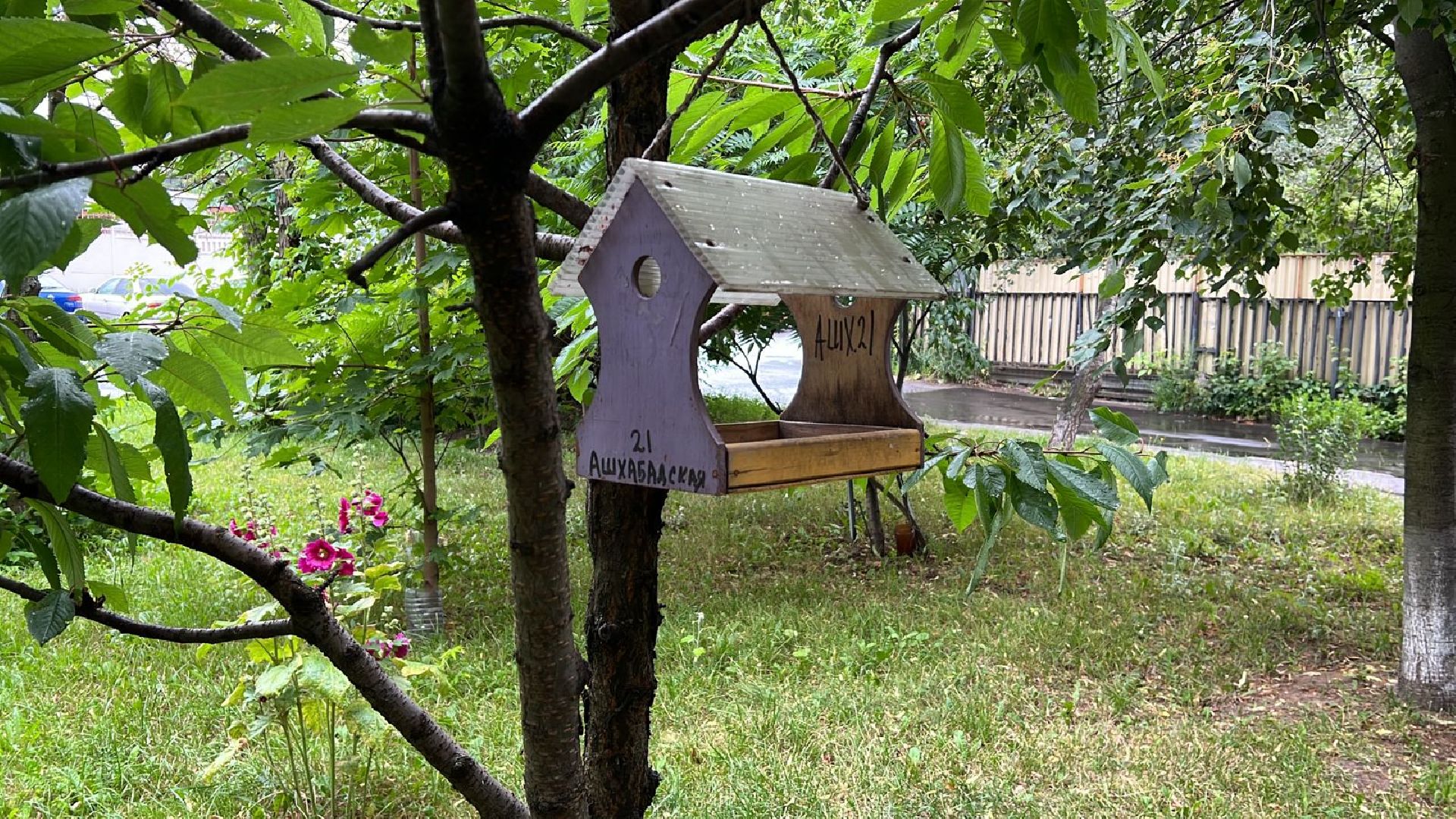 Реутов, благоустройство, ЖКХ, деревья, ивы