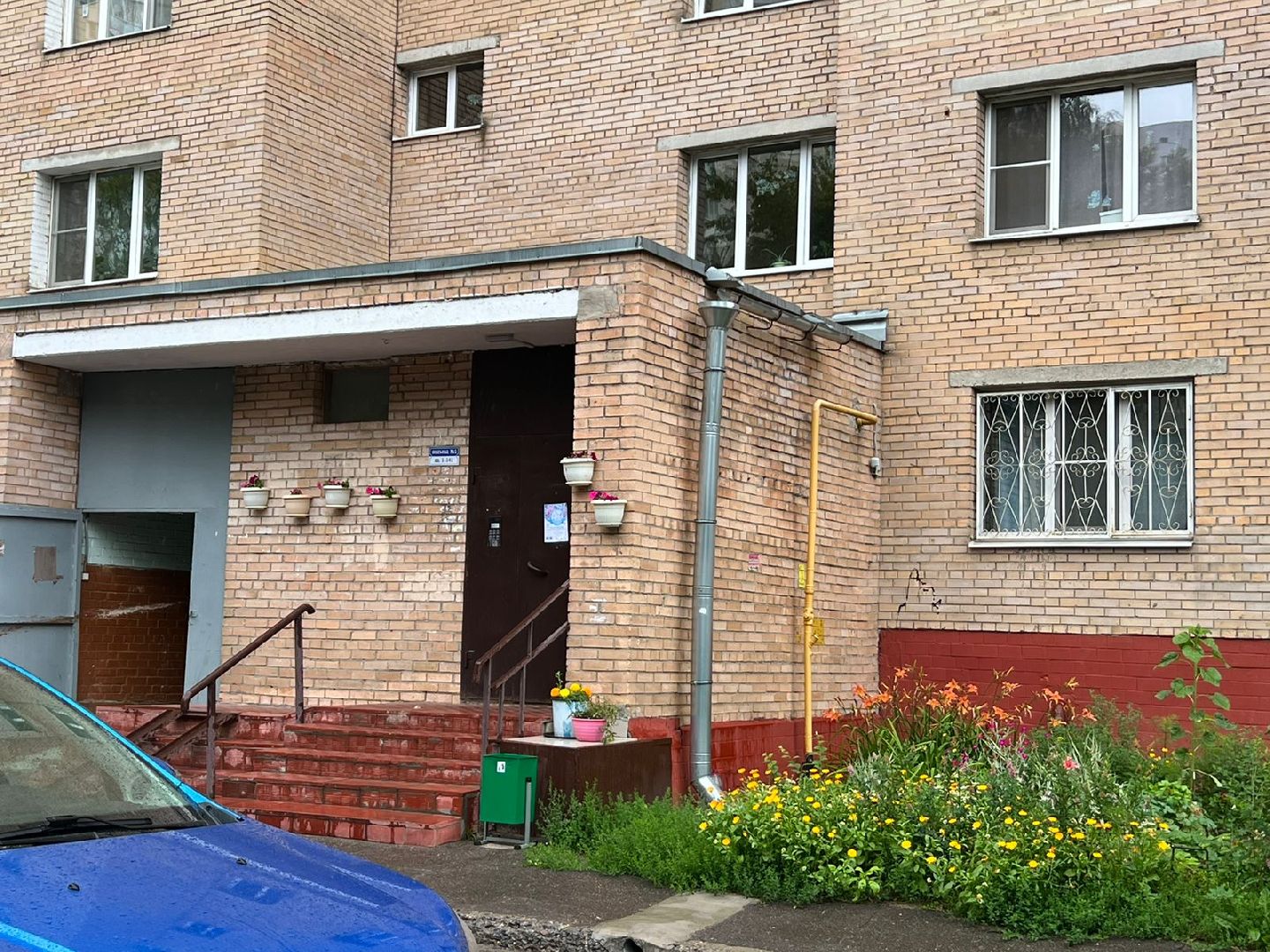 Реутов, благоустройство, ЖКХ, деревья, ивы