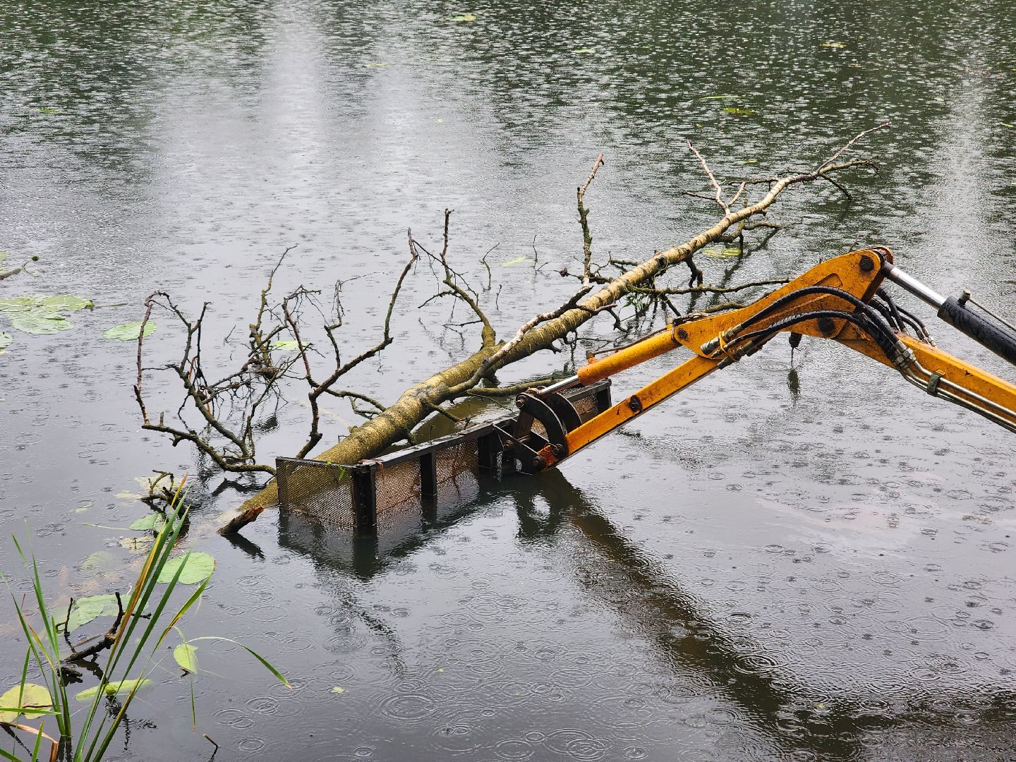 Немчиновка, пруд, Минэкологии, администрация, очистка, одинцово,