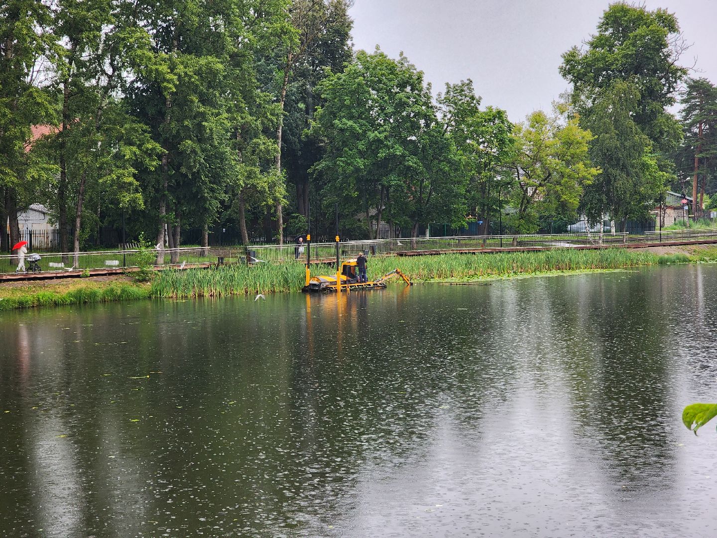 Немчиновка, пруд, Минэкологии, администрация, очистка, одинцово,