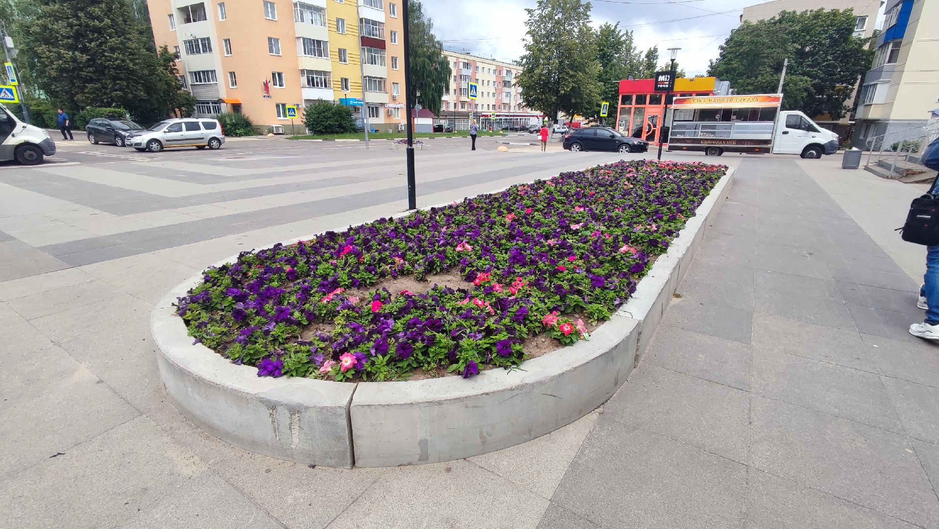 Кашира, благоустройство, цветы, клумбы, петунья ампельная