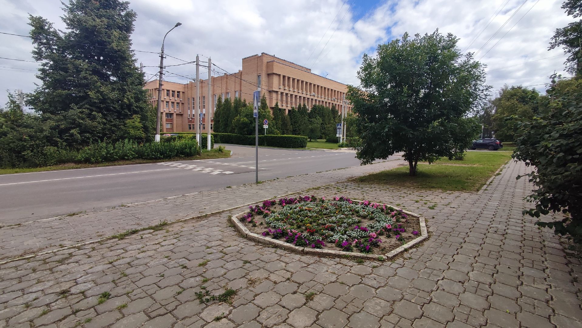 Кашира, благоустройство, цветы, клумбы, петунья ампельная