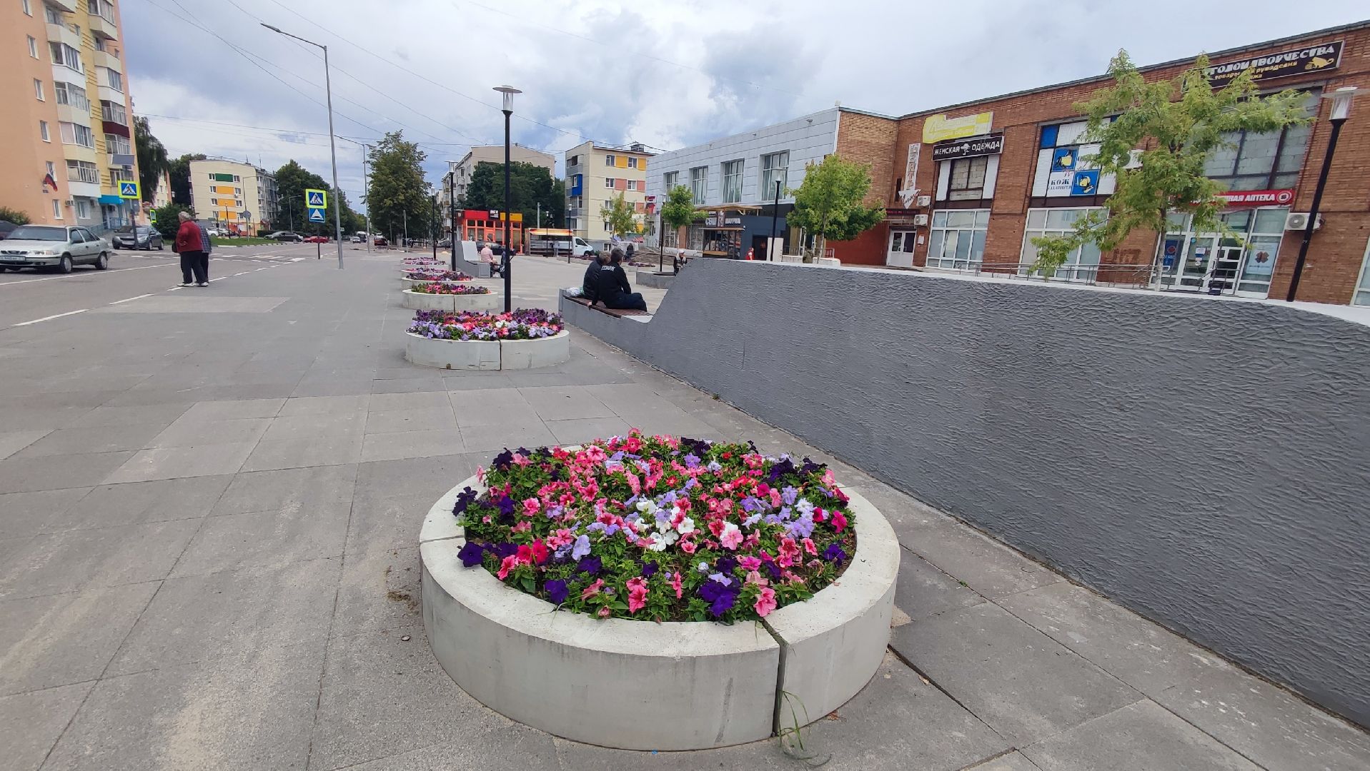 Кашира, благоустройство, цветы, клумбы, петунья ампельная