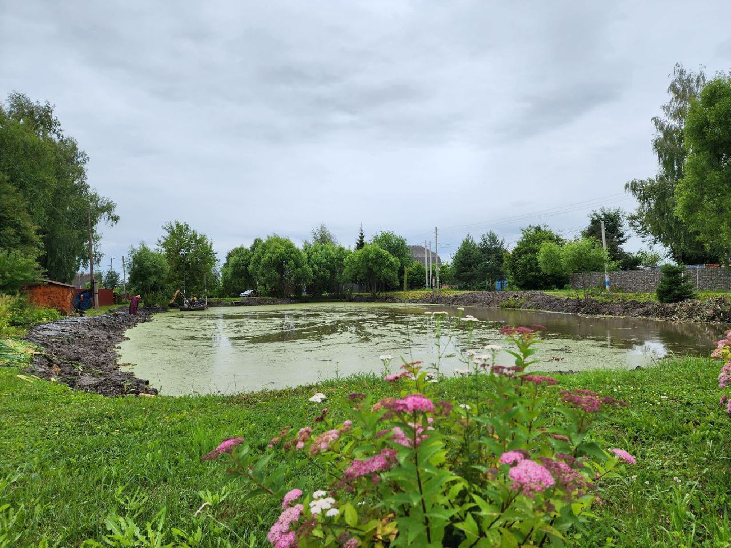 Дмитров, Очистка пруда, Минблаго МО