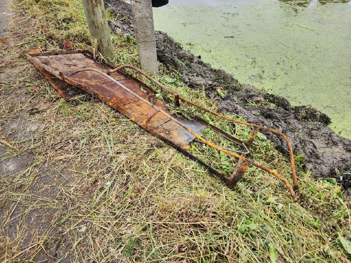 Дмитров, Очистка пруда, Минблаго МО