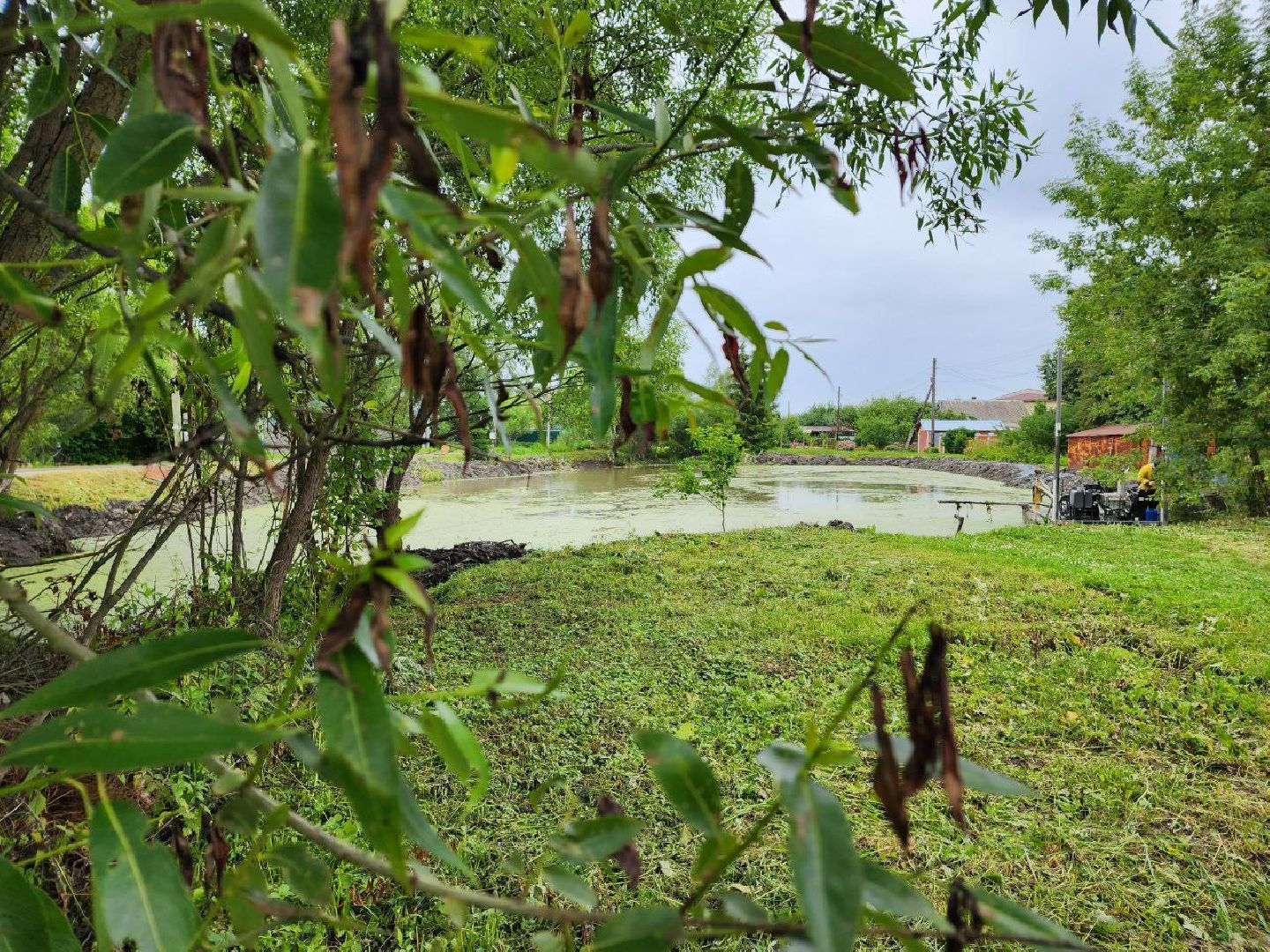 Дмитров, Очистка пруда, Минблаго МО