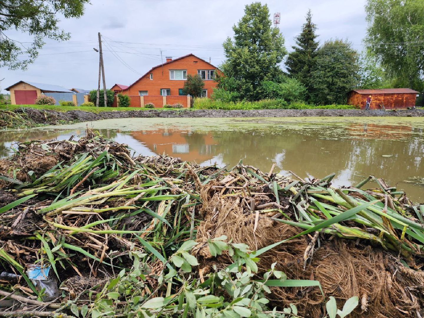 Дмитров, Очистка пруда, Минблаго МО