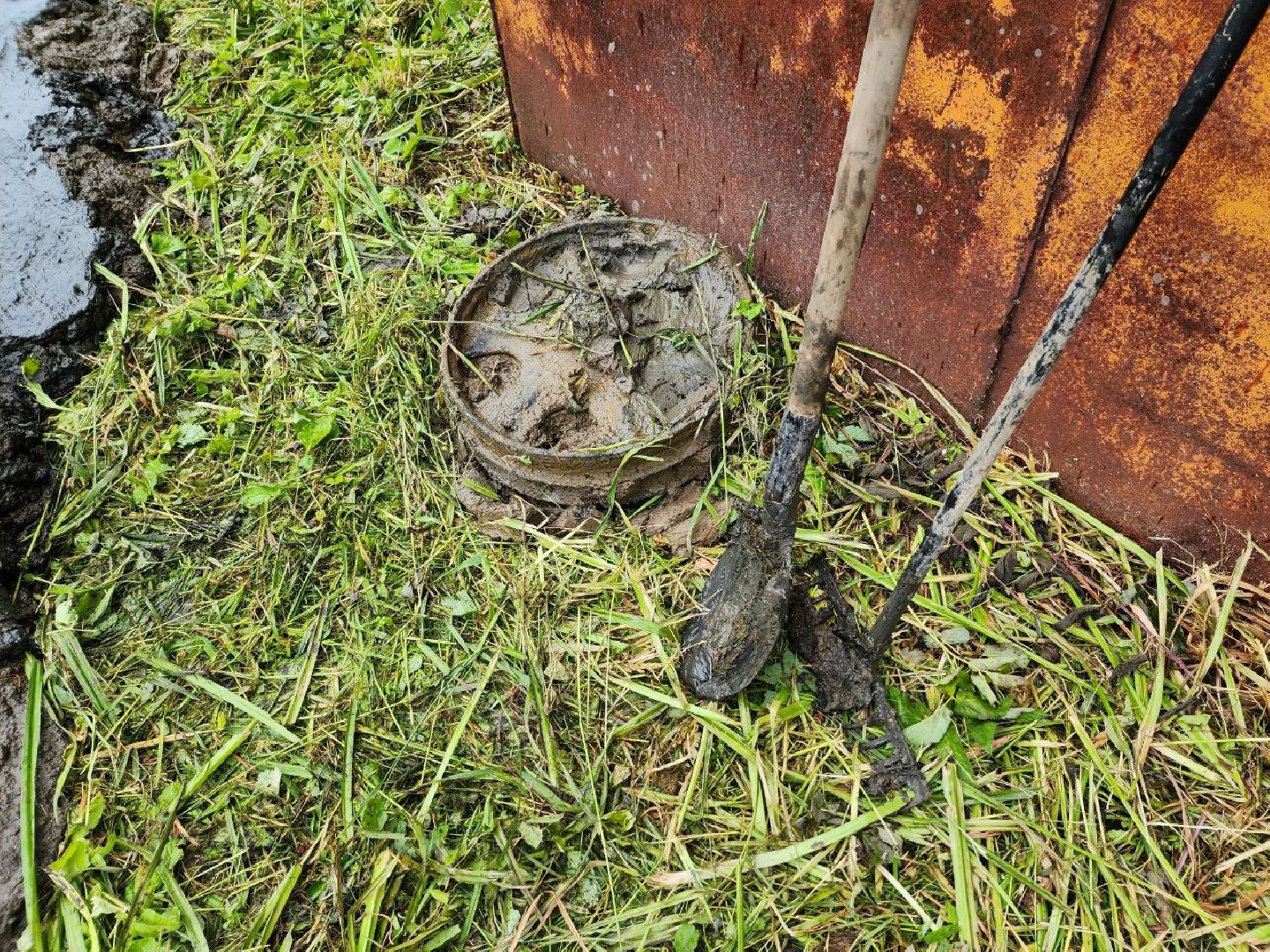 Дмитров, Очистка пруда, Минблаго МО