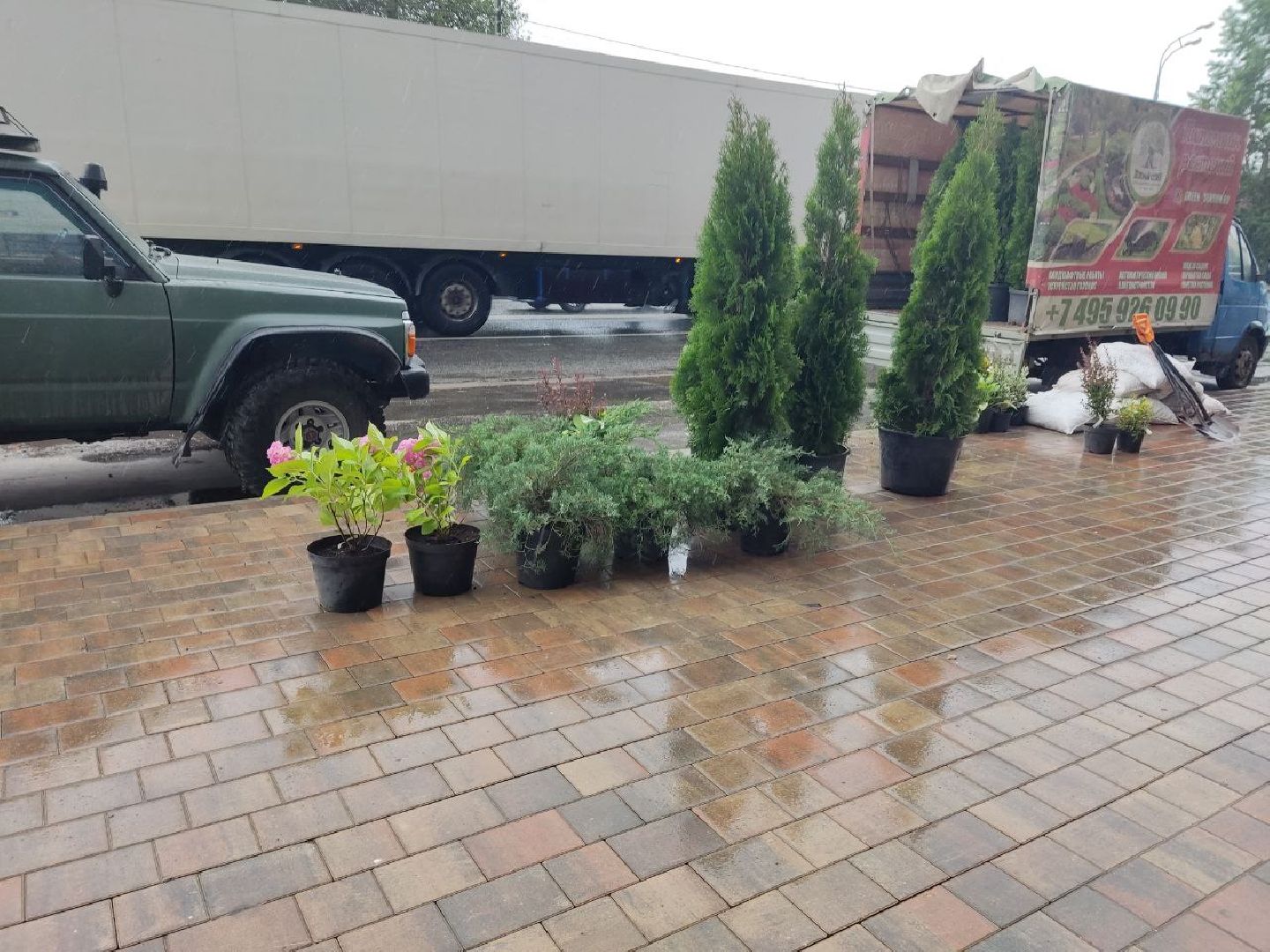 Одинцово, Благоустройство, Общество, Озеленение