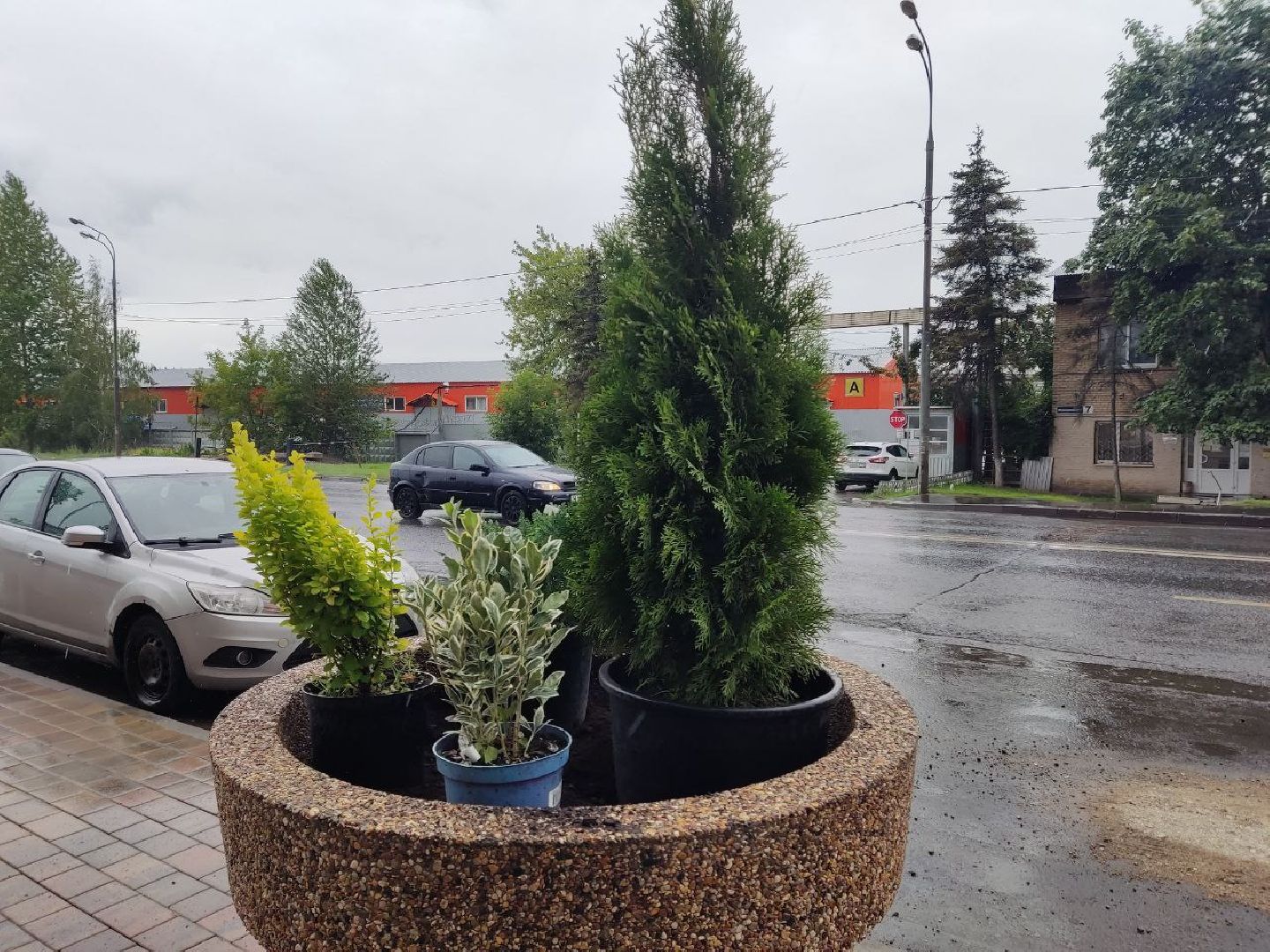 Одинцово, Благоустройство, Общество, Озеленение