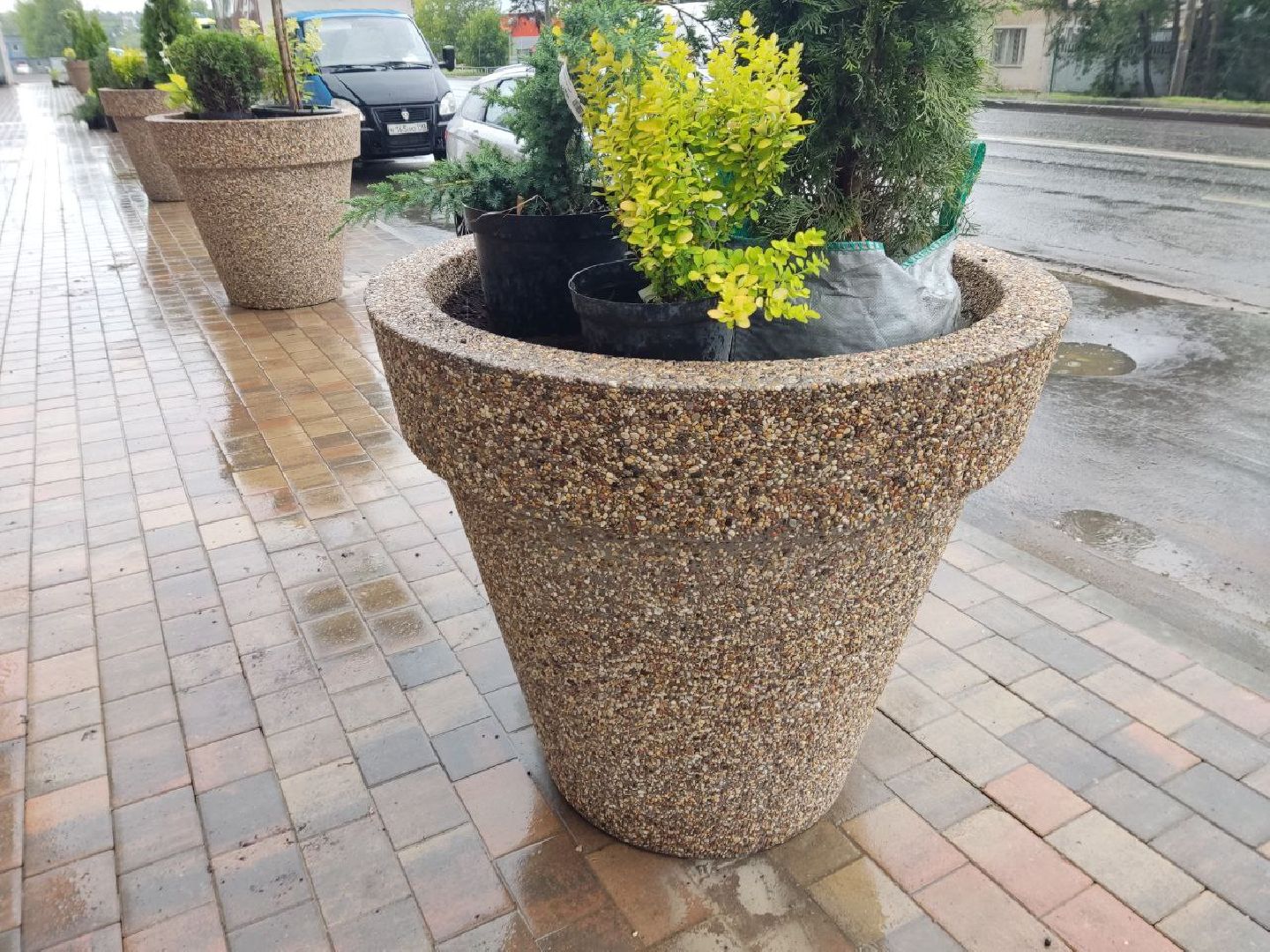 Одинцово, Благоустройство, Общество, Озеленение