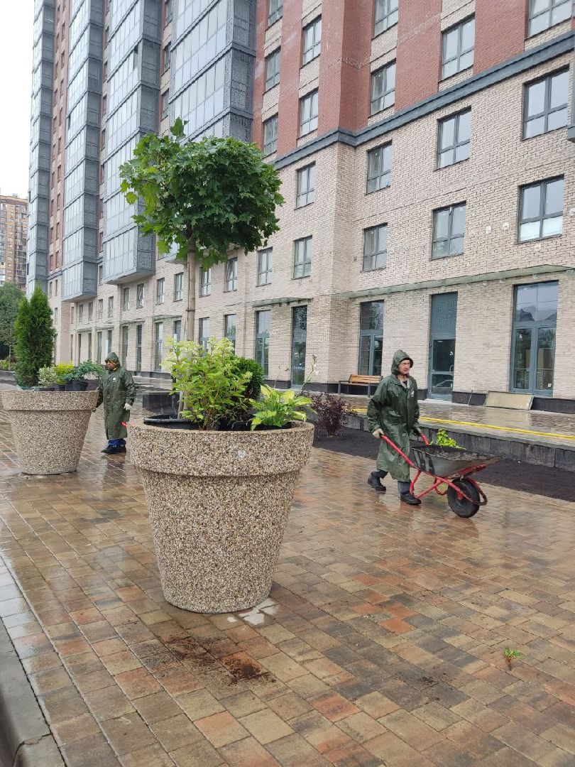 Одинцово, Благоустройство, Общество, Озеленение