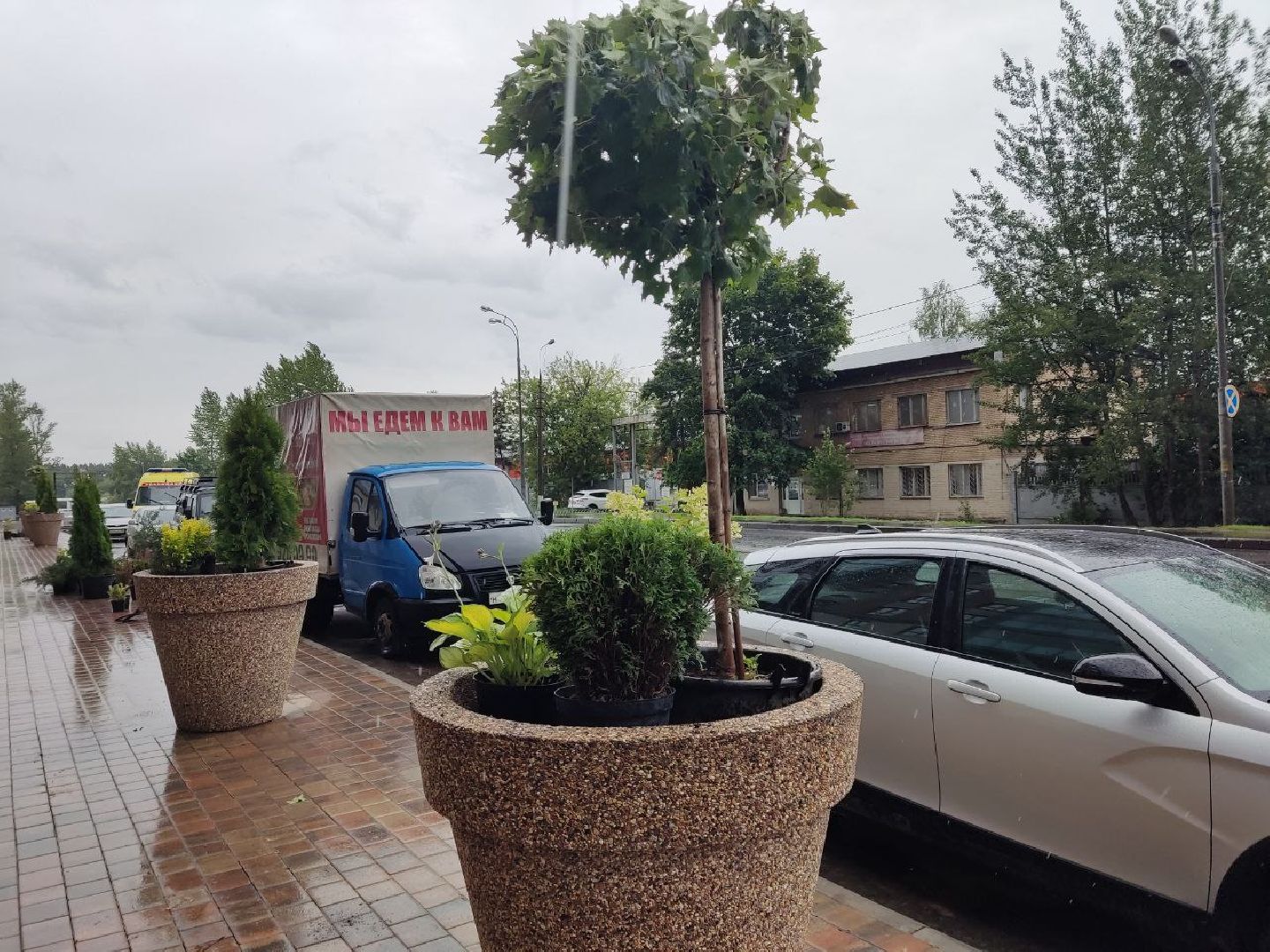 Одинцово, Благоустройство, Общество, Озеленение