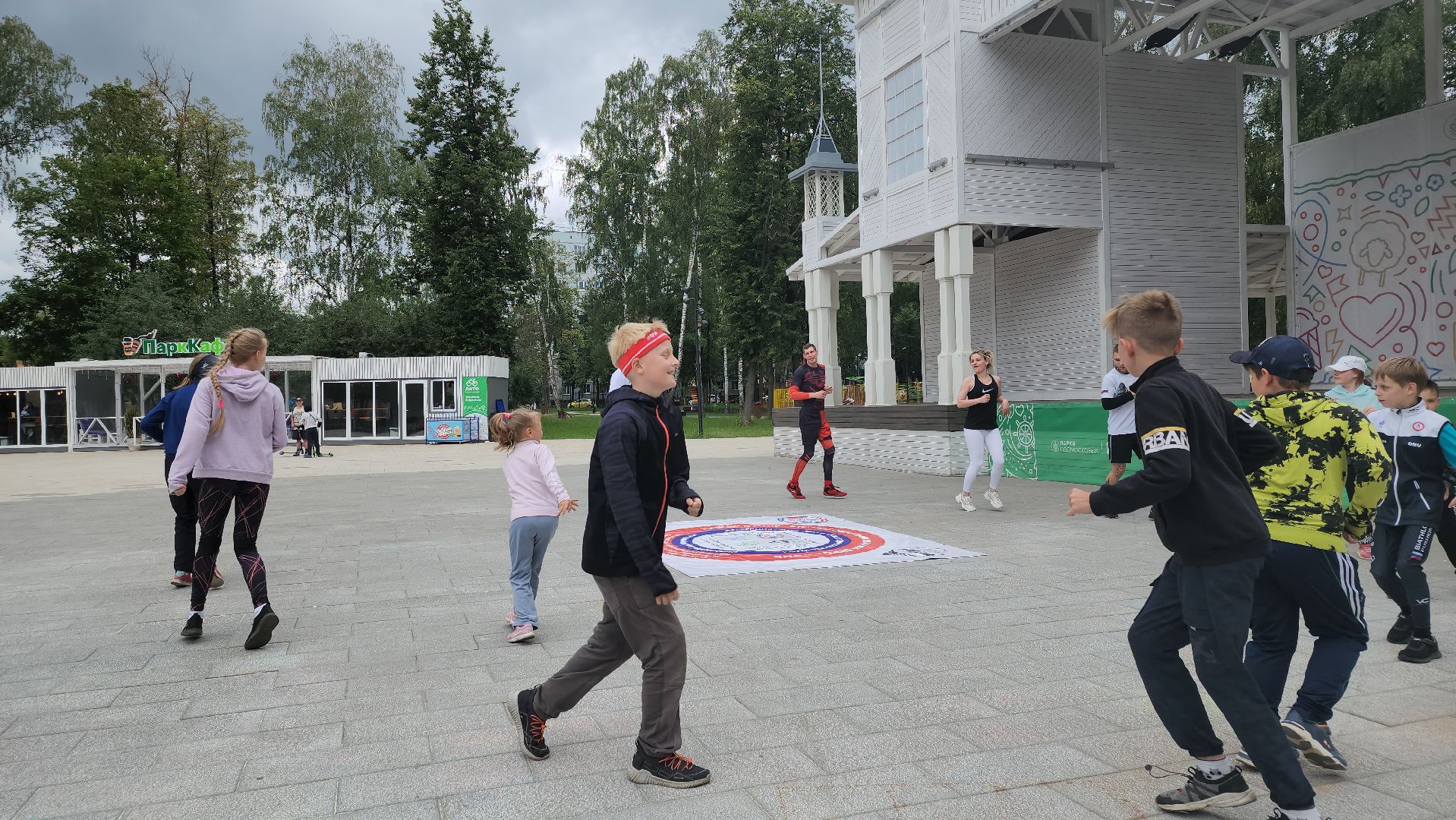 Пушкино, спорт, парки Подмосковья, MMA, дзюдо