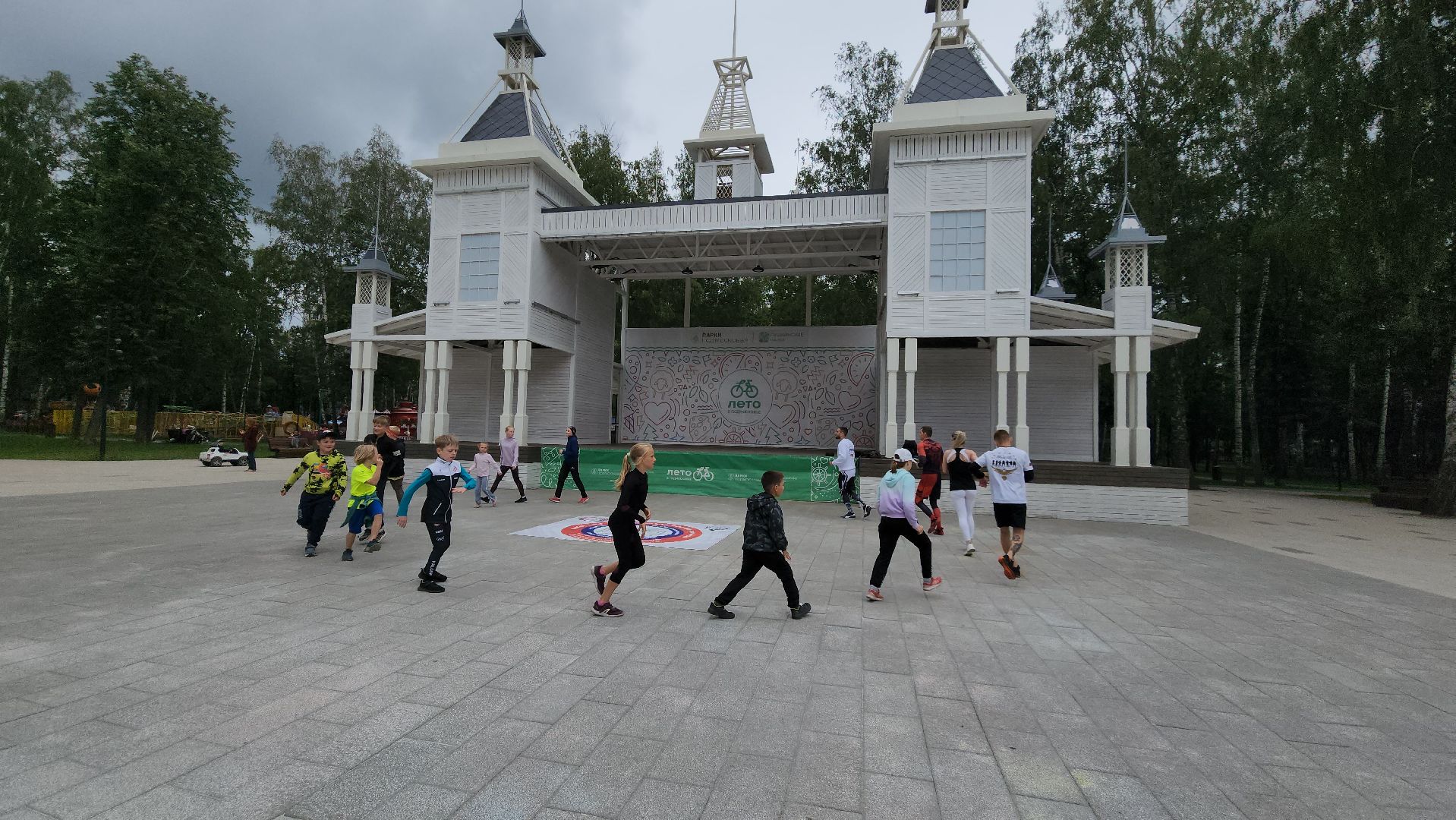 Пушкино, спорт, парки Подмосковья, MMA, дзюдо