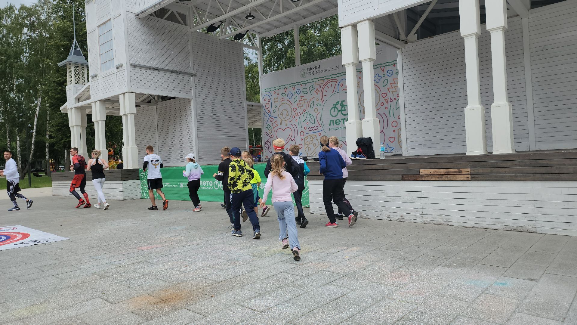 Пушкино, спорт, парки Подмосковья, MMA, дзюдо